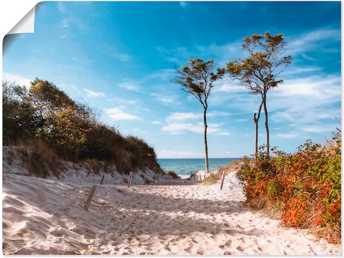 Artland Wandbild "Weststrand Darss", Strand, (1 St.), als Leinwandbild, Pos günstig online kaufen