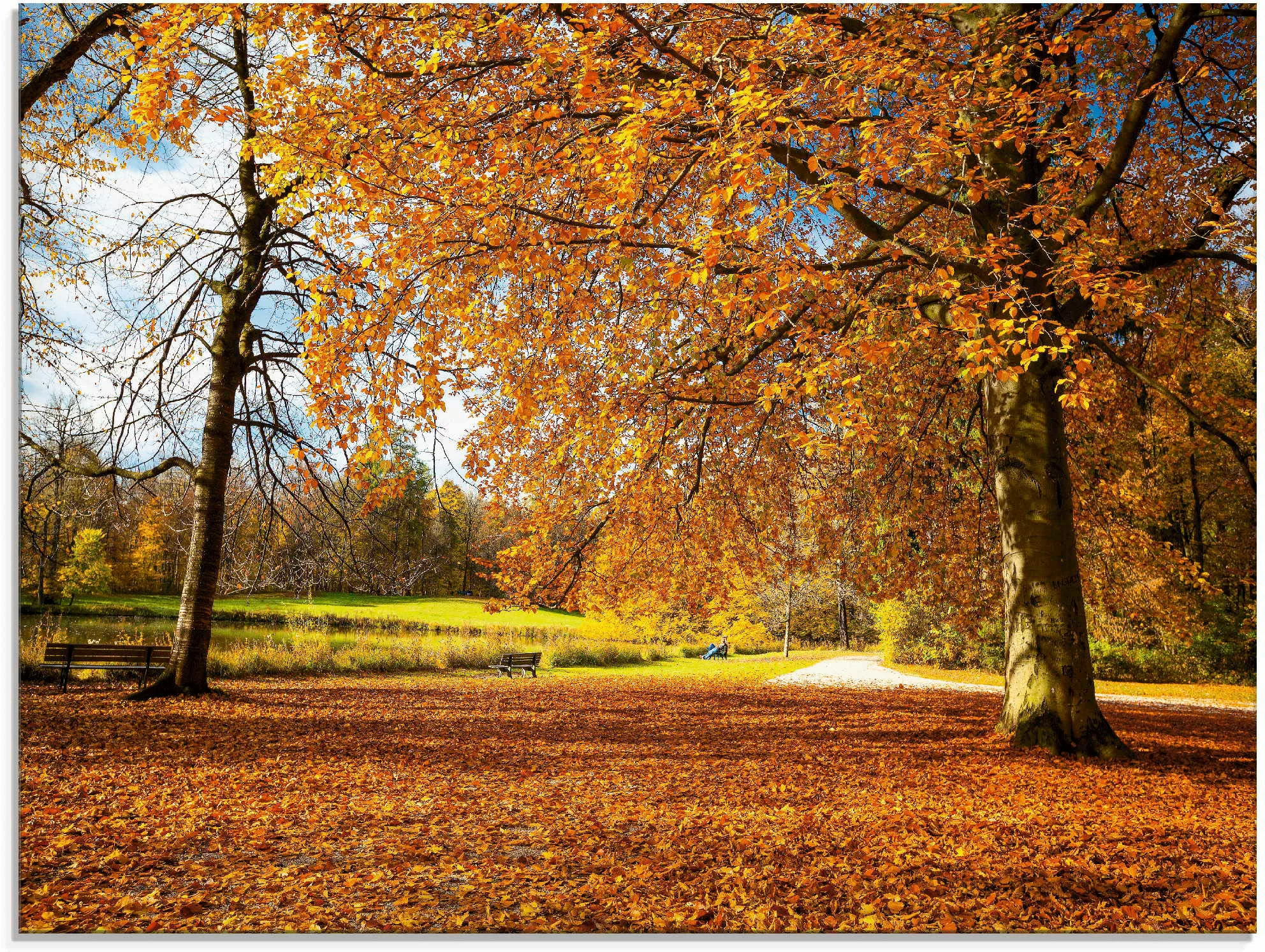 Artland Glasbild »Herbst bei Schlosses Nymphenburg«, Wiesen & Bäume, (1 St. günstig online kaufen