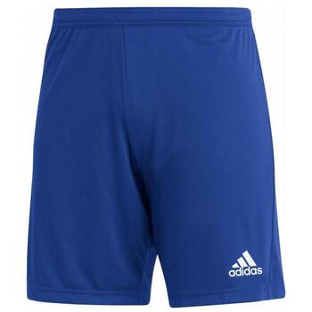 adidas  Shorts HG6294 günstig online kaufen