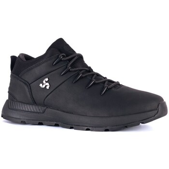 Bustagrip  Sneaker LANCER günstig online kaufen