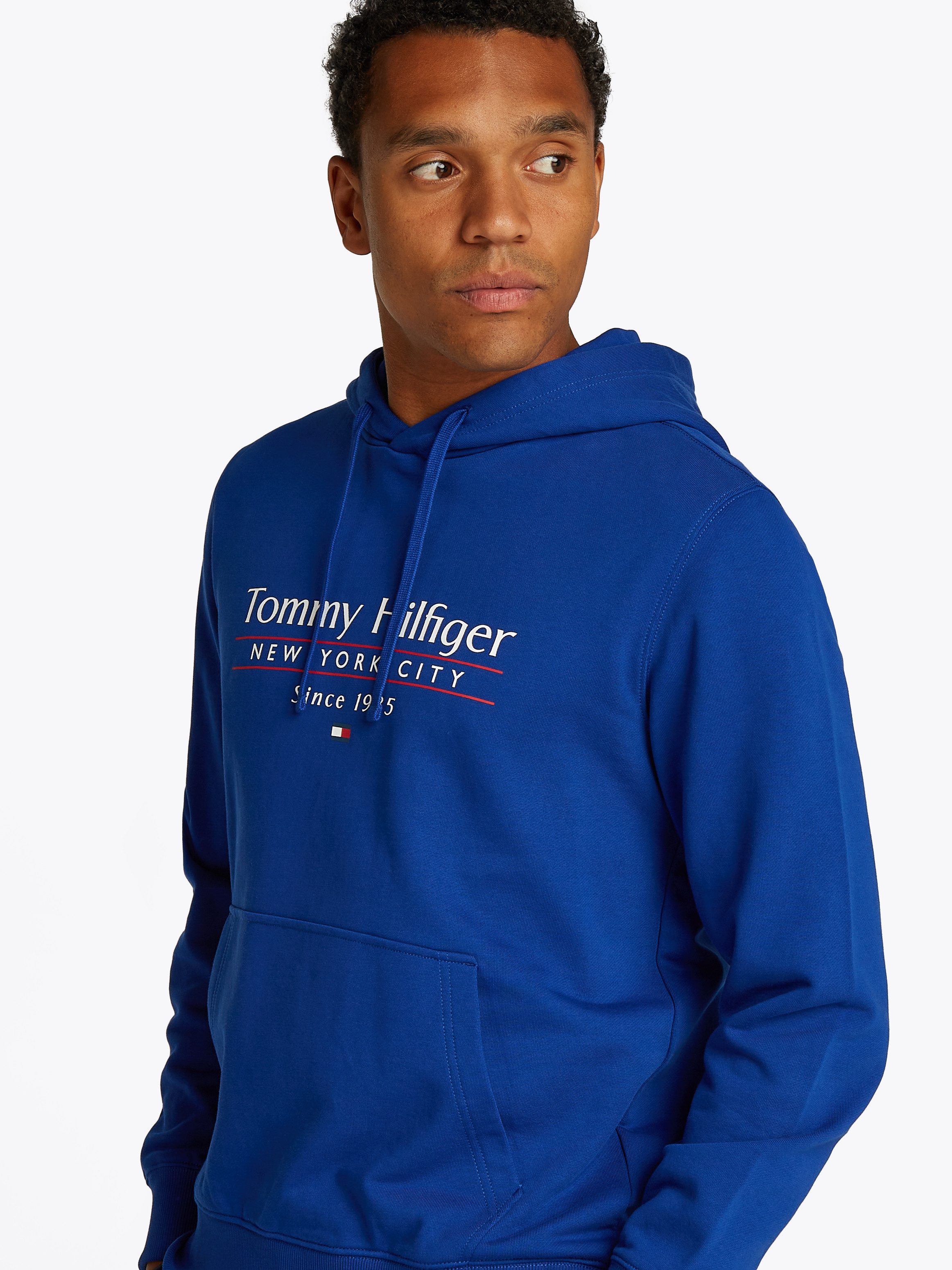 Tommy Hilfiger Hoodie HILFIGER CENTER STACK günstig online kaufen