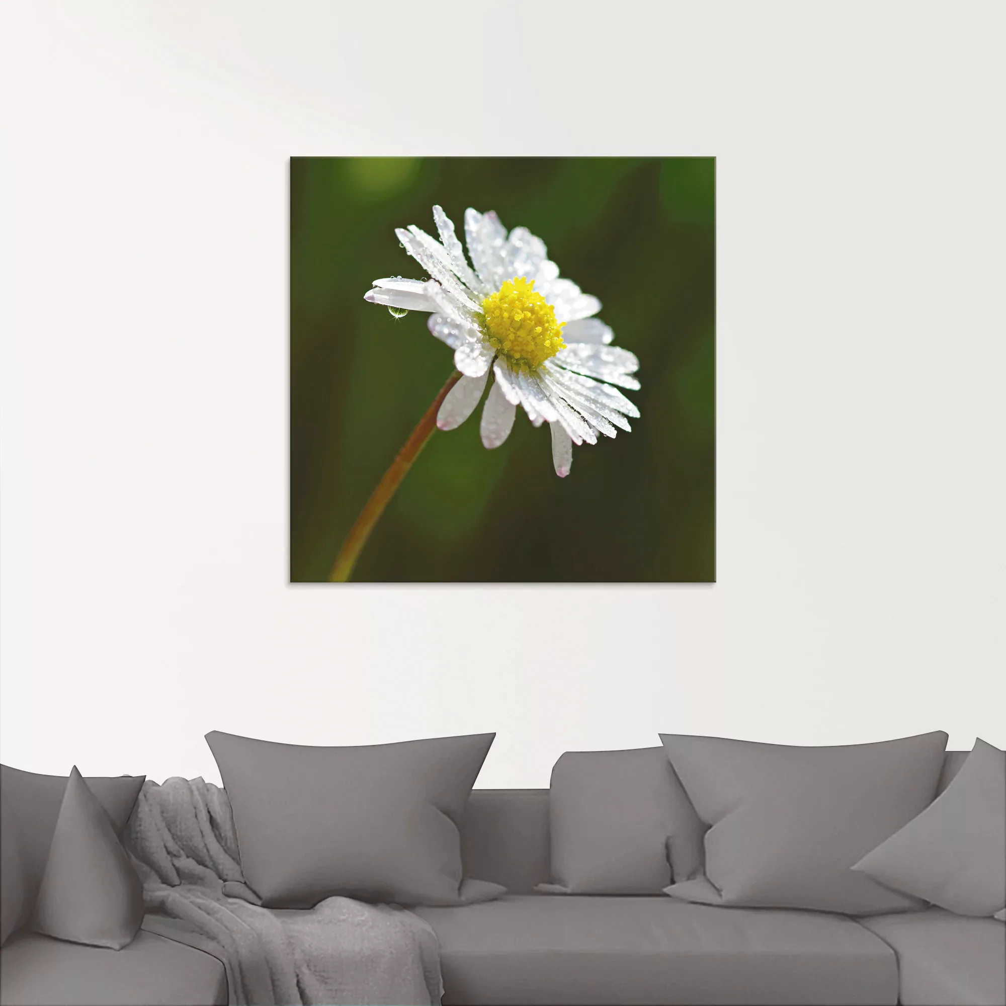 Artland Glasbild »Gänseblümchen«, Blumen, (1 St.) günstig online kaufen