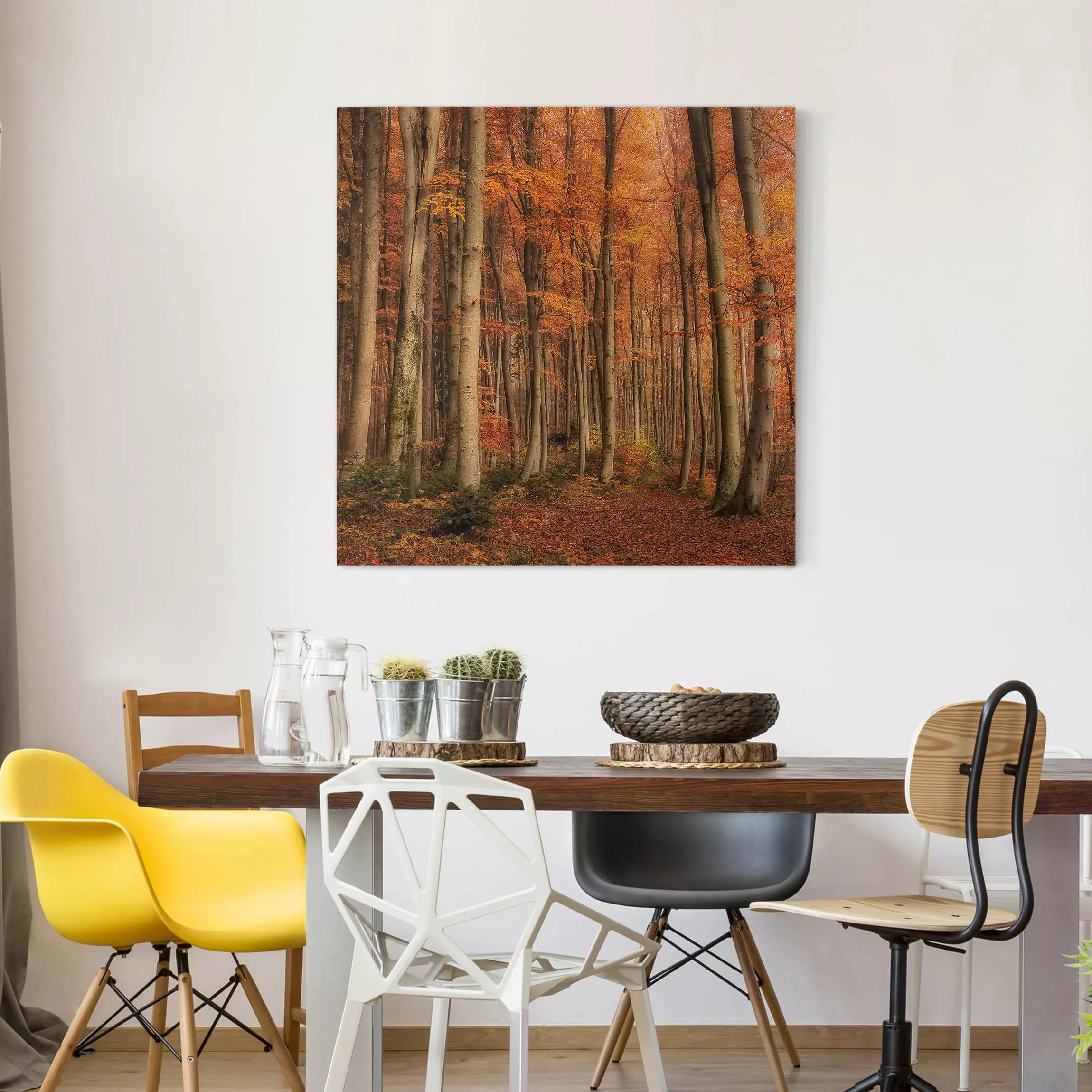 Leinwandbild Wald - Quadrat Herbstspaziergang günstig online kaufen