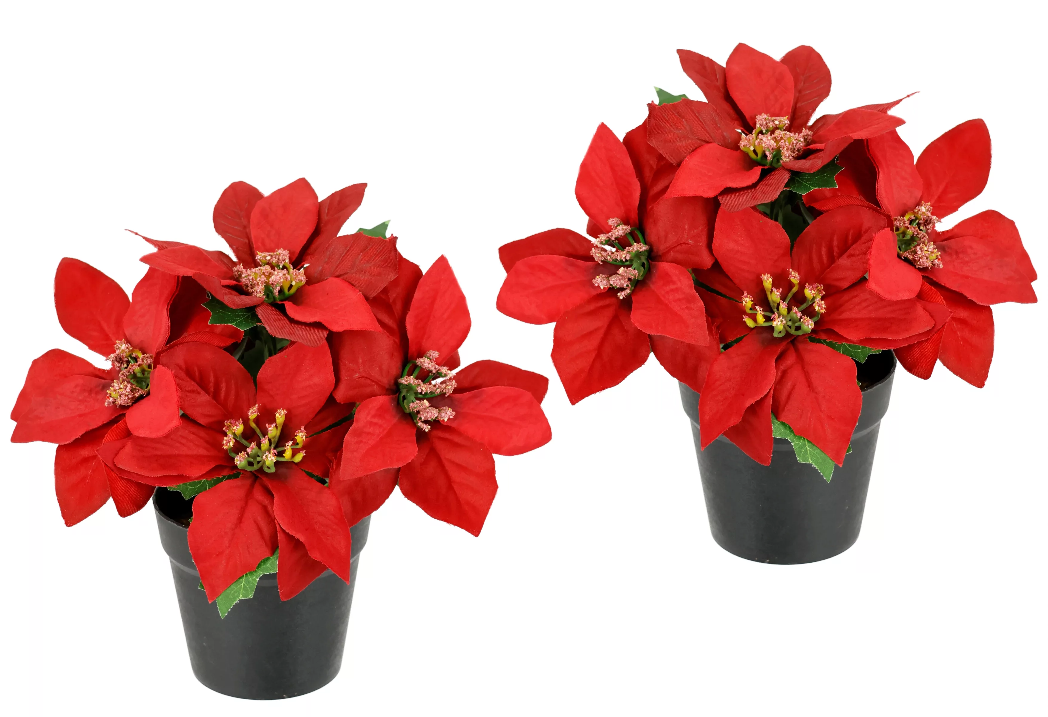 I.GE.A. Kunstblume "Poinsettia im Topf", 2er Set Künstliche Blume Weihnacht günstig online kaufen