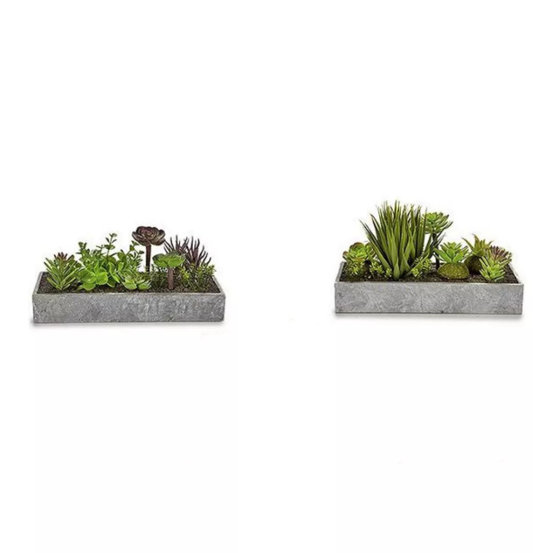 Dekorationspflanze ‎s3603890 Blumenkasten Zement Kunststoff (15 X 16 X 30 C günstig online kaufen