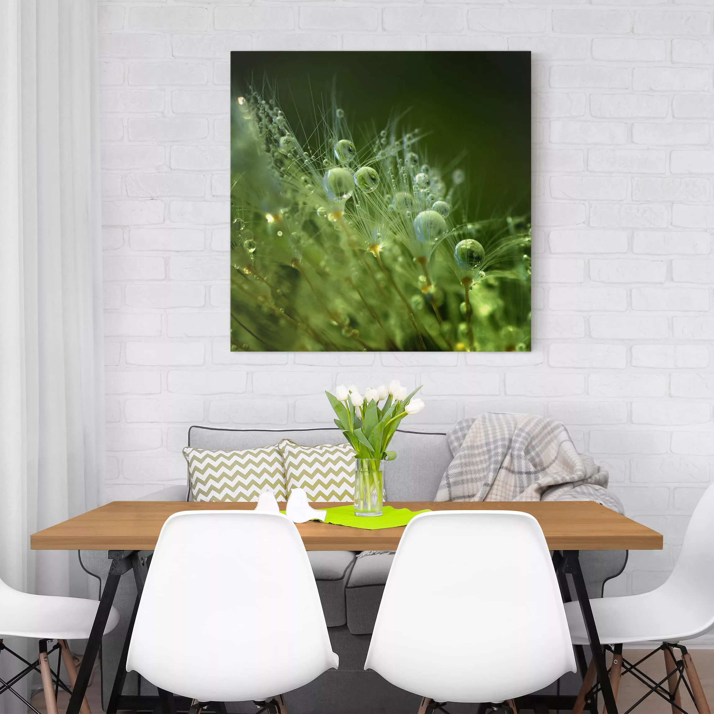 Leinwandbild Botanik - Quadrat Grüne Samen im Regen günstig online kaufen