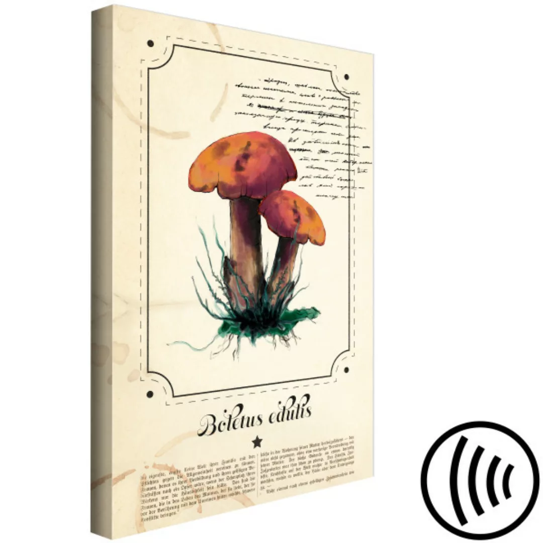 Wandbild Mushroom Guide Book (1 Part) Vertical XXL günstig online kaufen