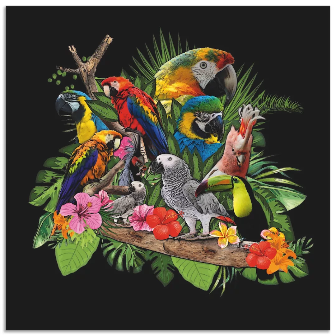 Artland Wandbild »Papageien Graupapagei Kakadu Dschungel«, Vögel, (1 St.), günstig online kaufen