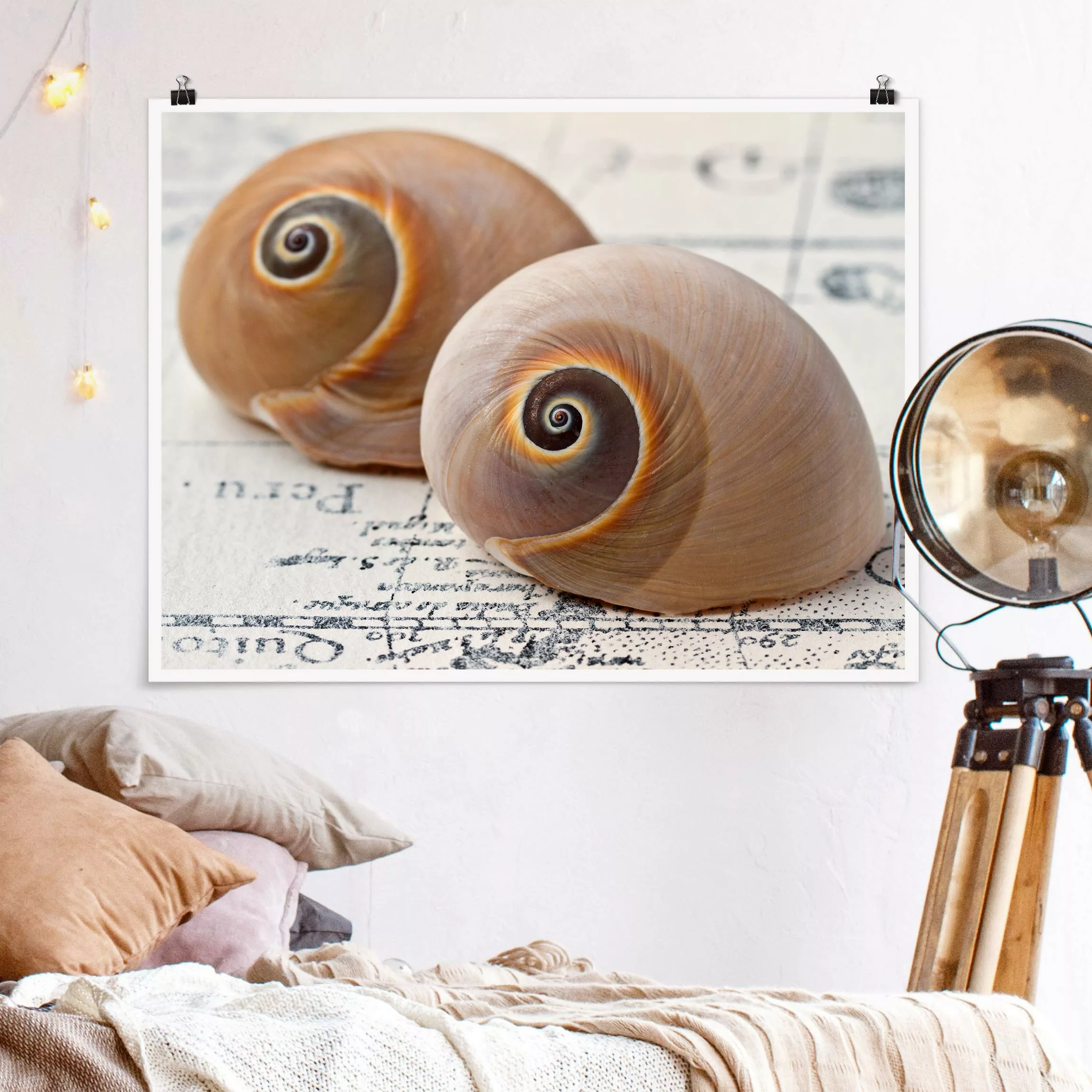 Poster Muschelduo günstig online kaufen