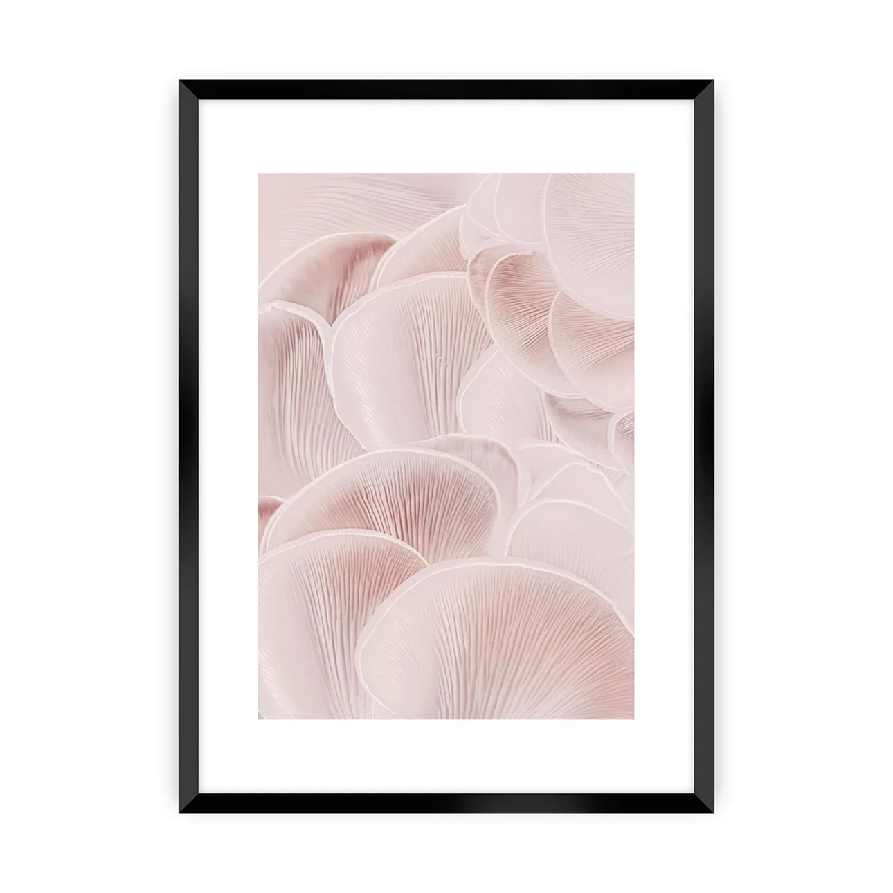 Poster Pastel Pink I, 50 x 70 cm , Ramka: Czarna günstig online kaufen