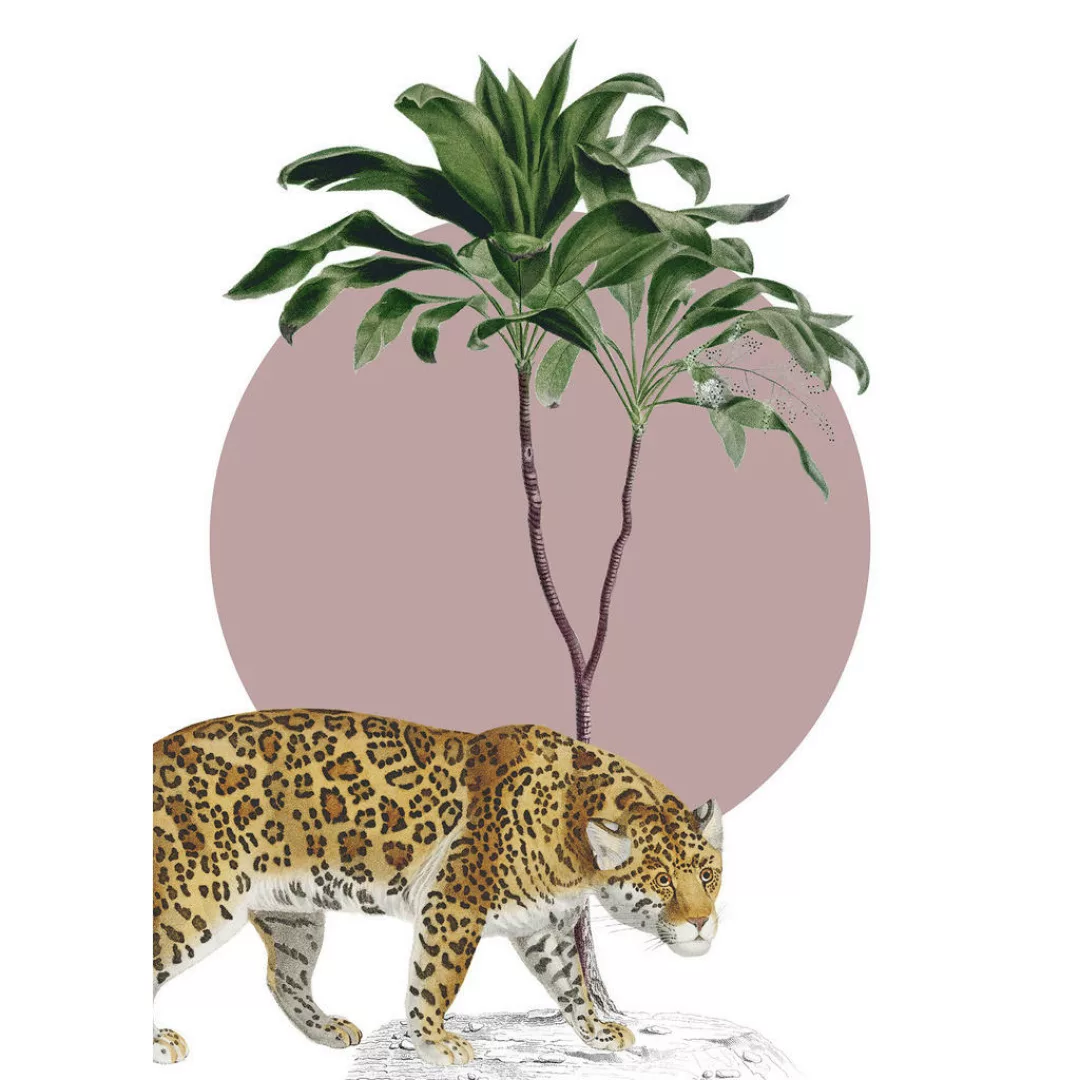 Komar Wandbild »Botanical Garden Jaguar«, (1 St.), Deutsches Premium-Poster günstig online kaufen