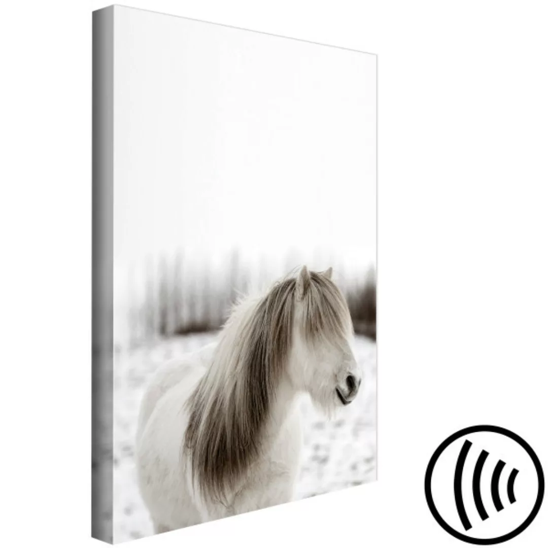 Leinwandbild Horse Mane (1 Part) Vertical XXL günstig online kaufen
