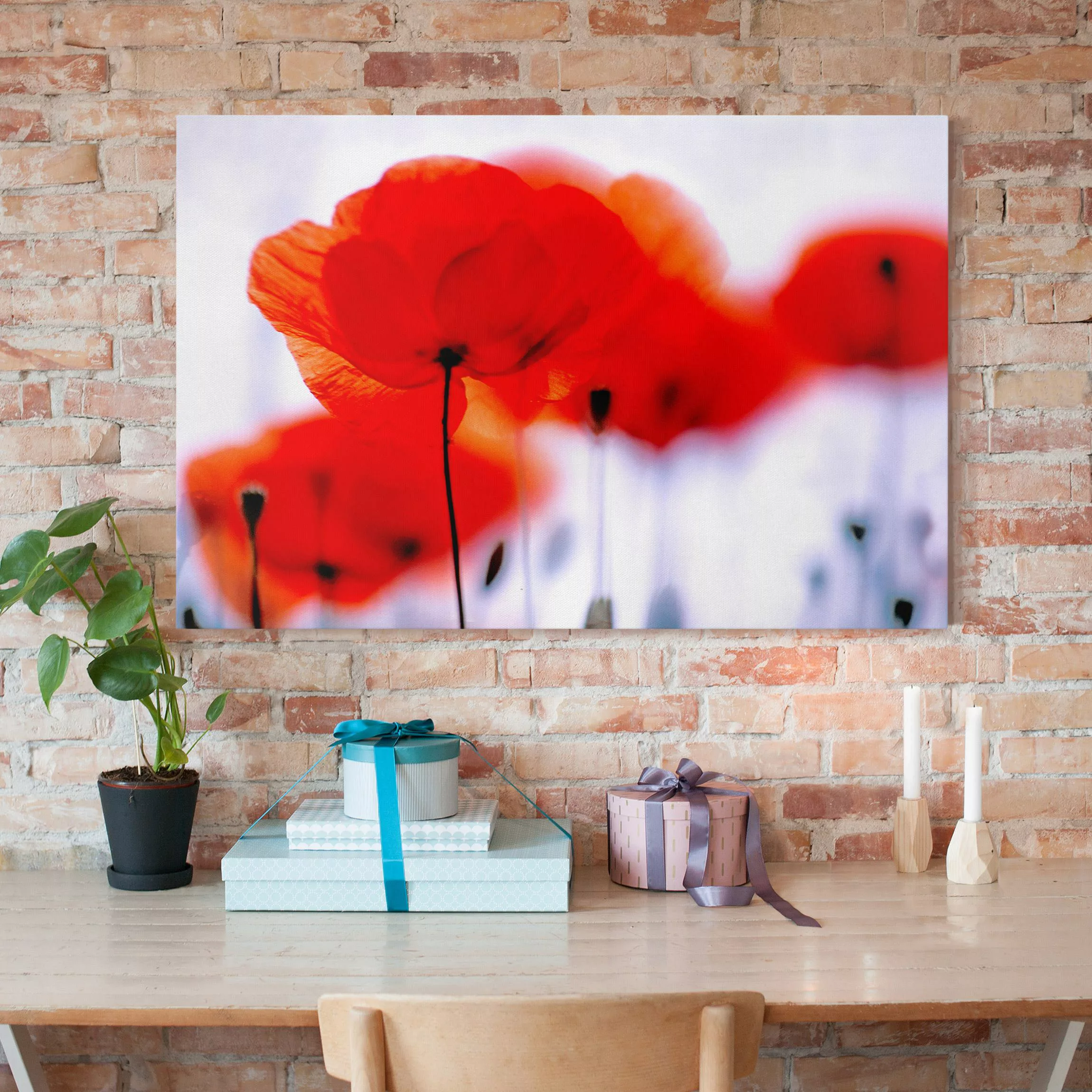 Leinwandbild Blumen - Querformat Magic Poppies günstig online kaufen