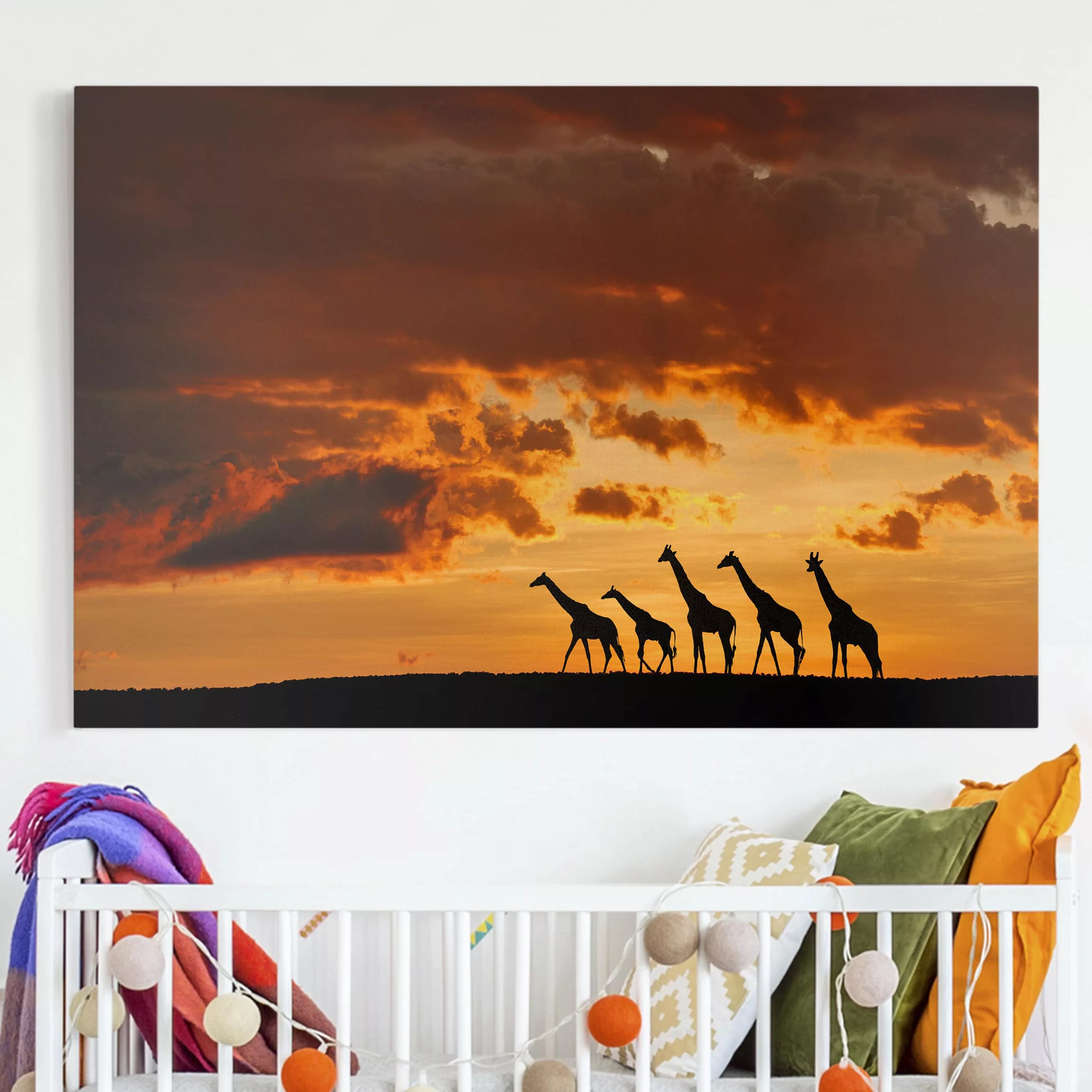 Leinwandbild Afrika - Querformat Fünf Giraffen günstig online kaufen