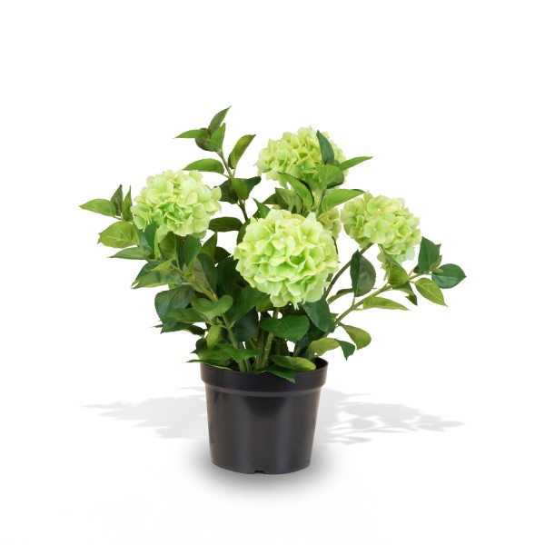 Hortensie - Hydrangea Kunstpflanze, 5 Blüten grün günstig online kaufen