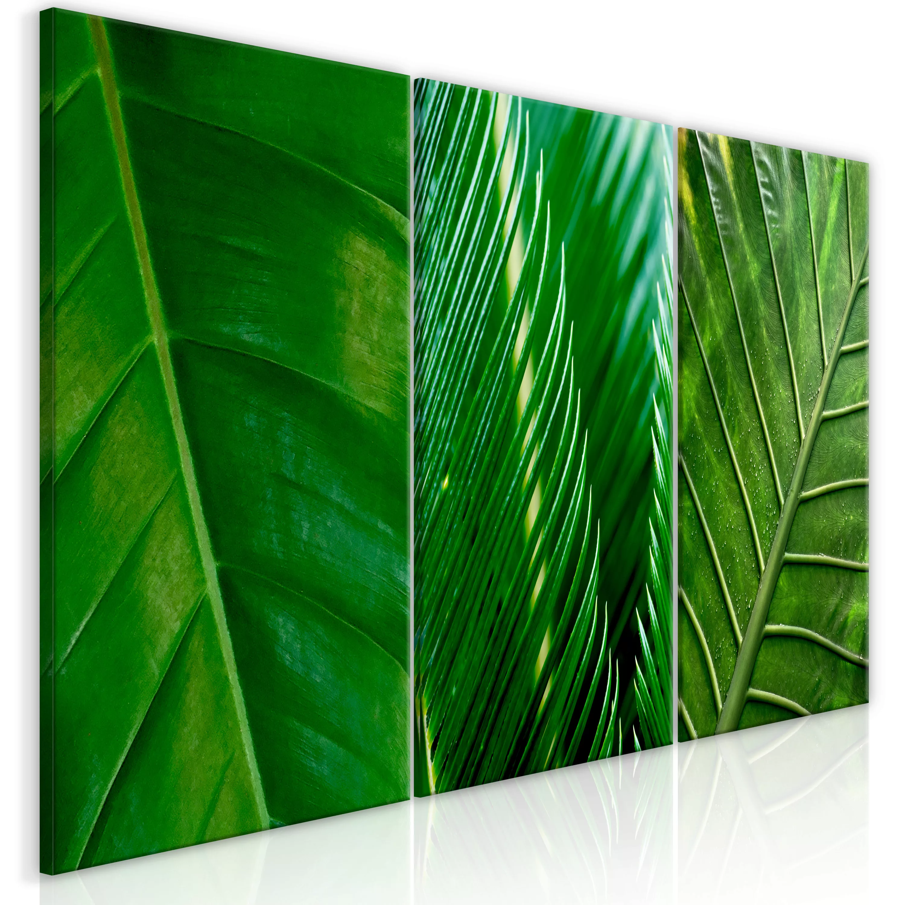 Wandbild - Leaves (collection) günstig online kaufen