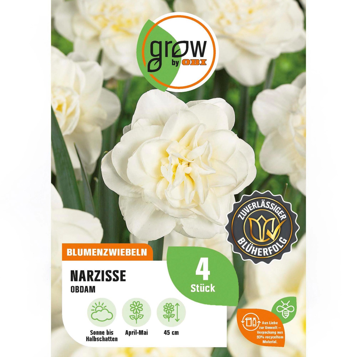 GROW by OBI Narzissen Gefüllte Obdam Weiß 4 Stück Narcissus double Obdam günstig online kaufen