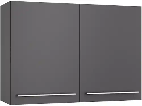 OPTIFIT Hängeschrank "Bern2", Breite 100 cm, 2 Türen, 2 Einlegeböden günstig online kaufen