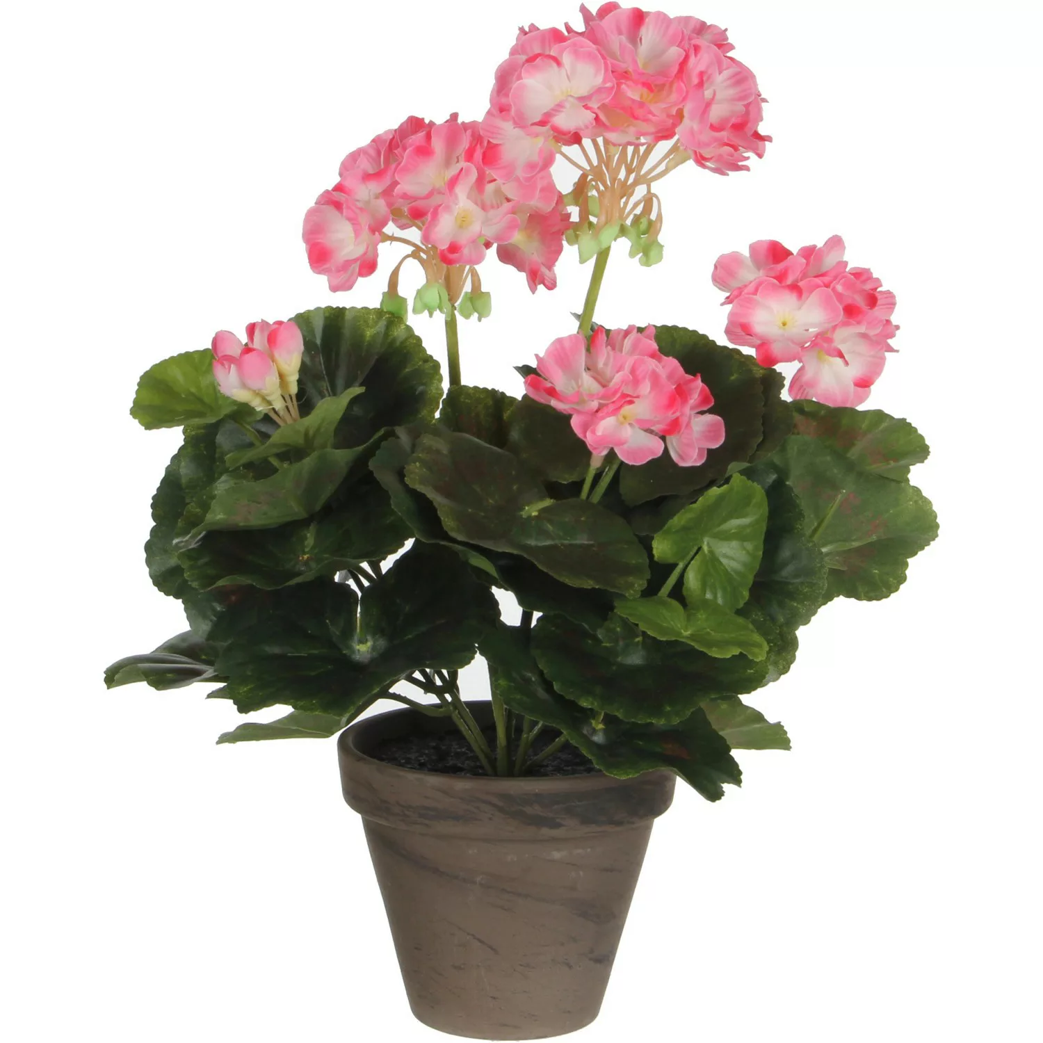 Mica Decorations Geranium Rosa-Weiß Höhe 34 cm Ø 20 cm im Topf Stan Grau günstig online kaufen