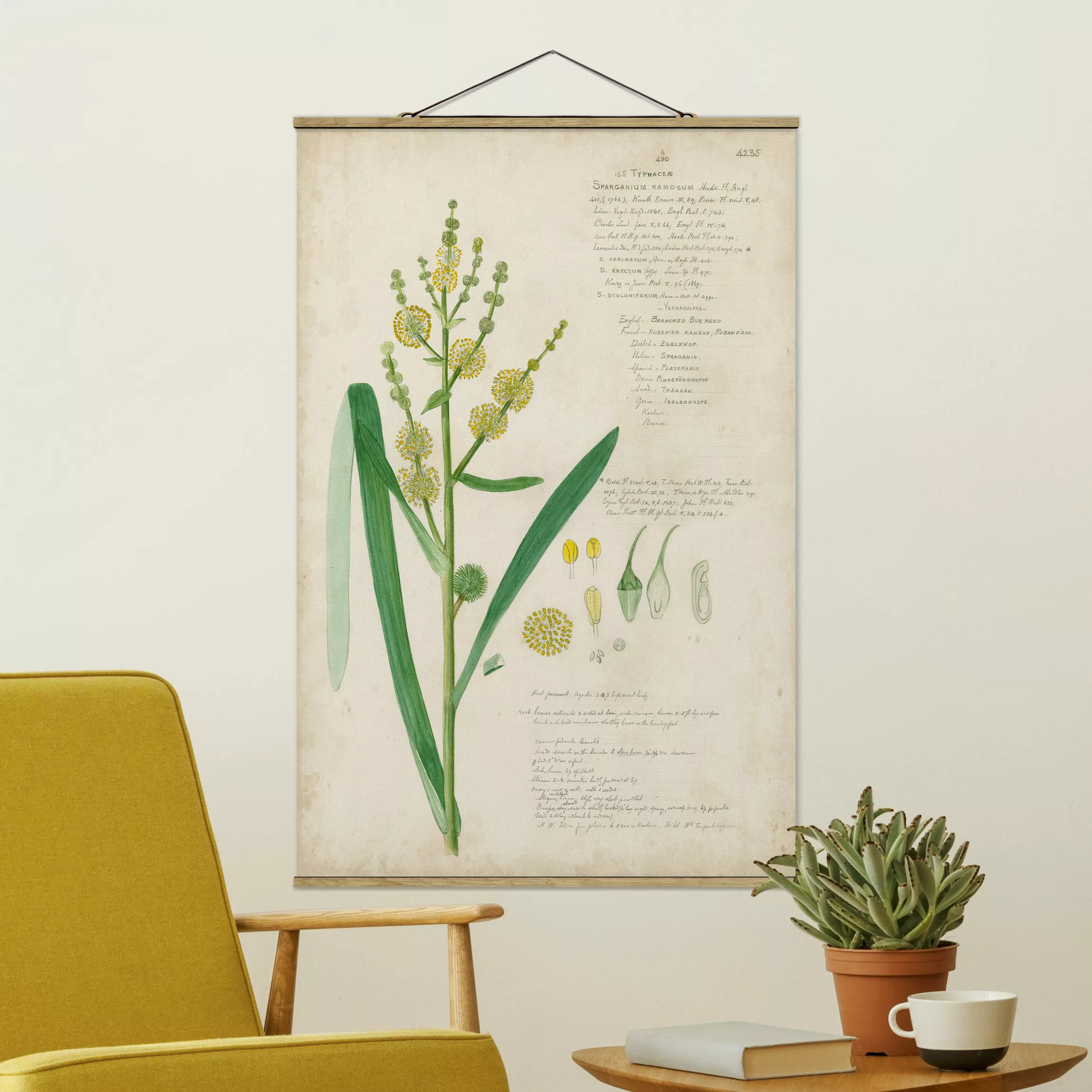 Stoffbild Blumen mit Posterleisten - Hochformat Vintage Botanik Zeichnung G günstig online kaufen