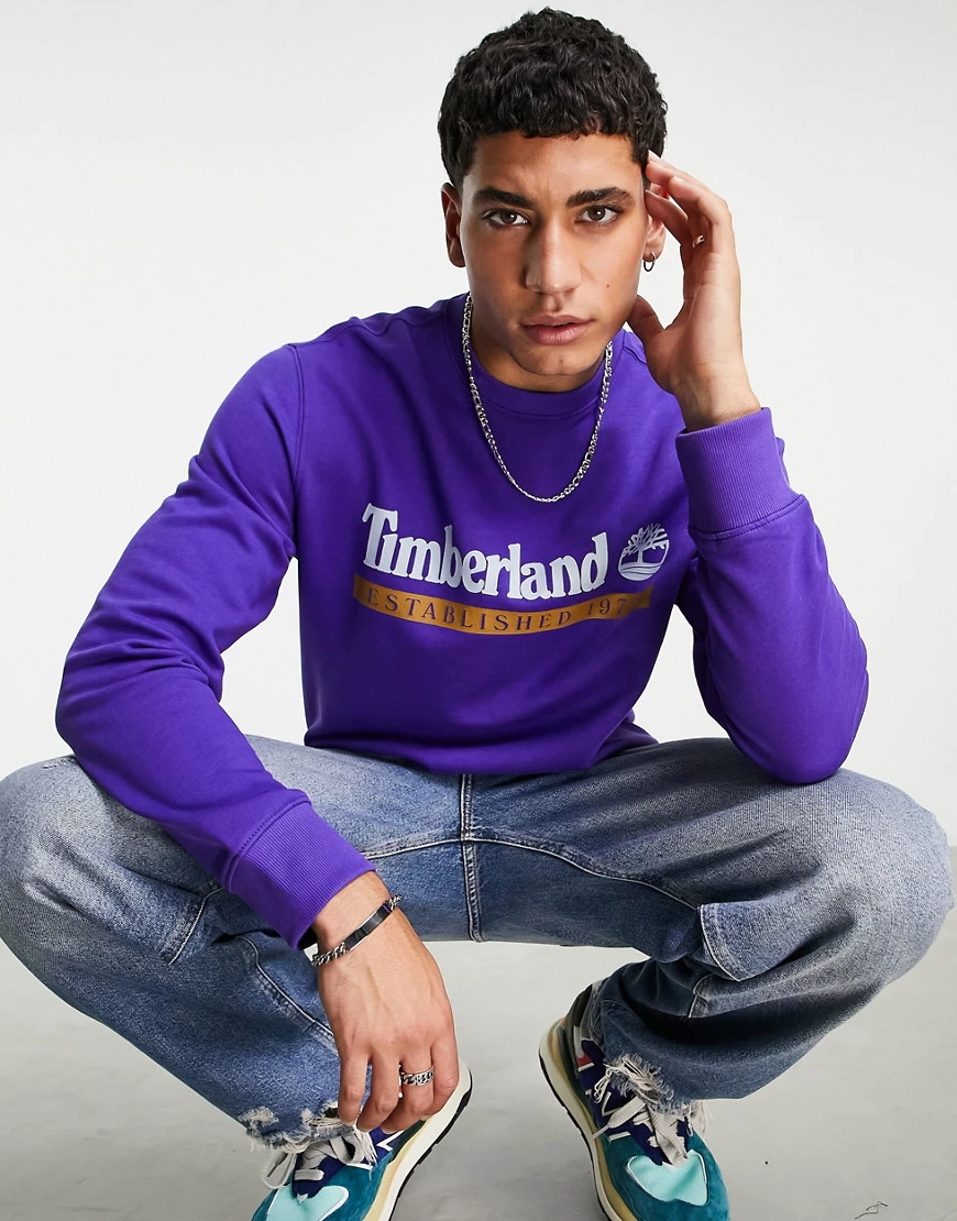 Timberland – Established 1973 – Sweatshirt in Lila-Blau günstig online kaufen