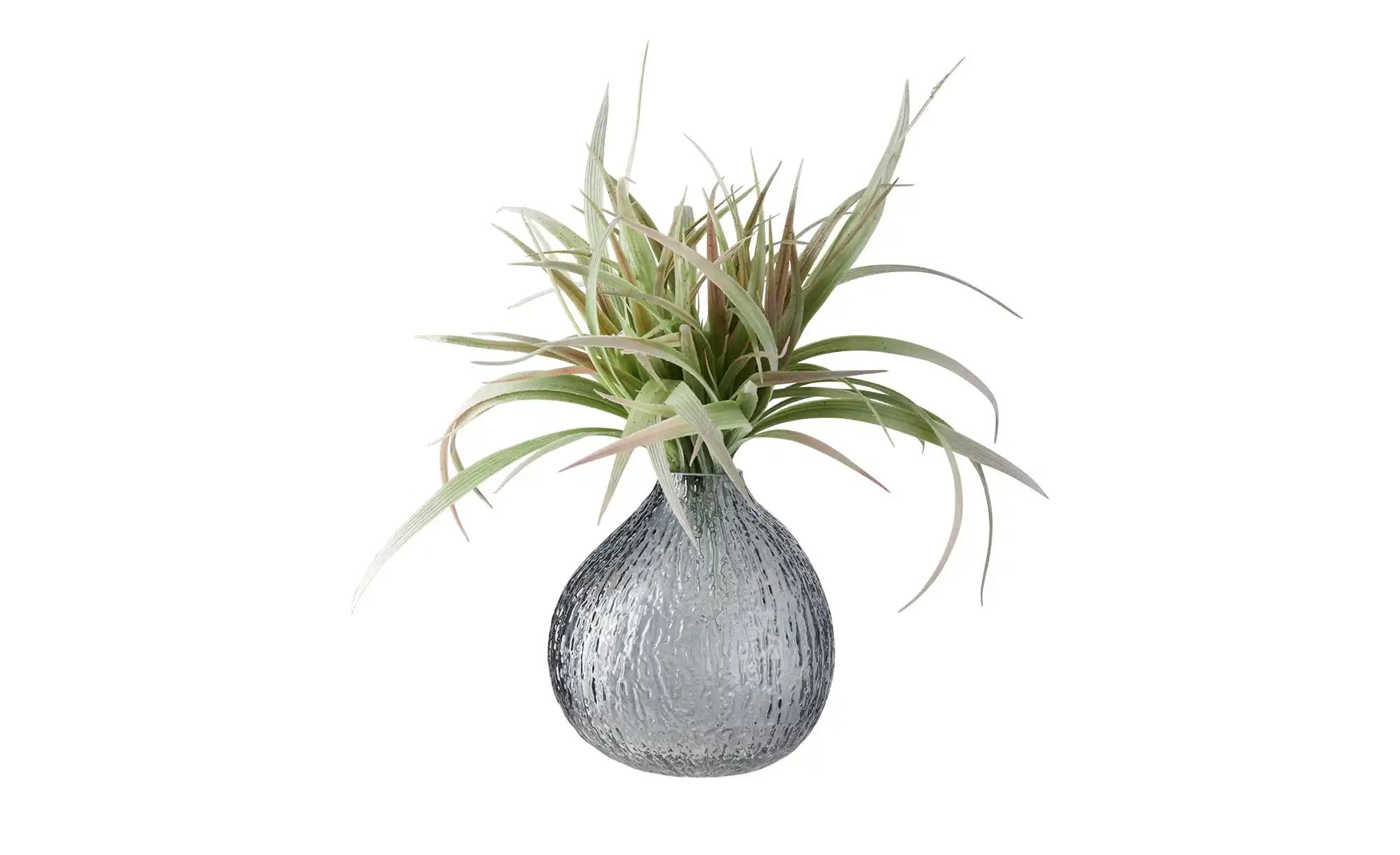 HOME STORY Vase ¦ grau ¦ Glas  ¦ Maße (cm): H: 17,5  Ø: 17 Accessoires > Va günstig online kaufen