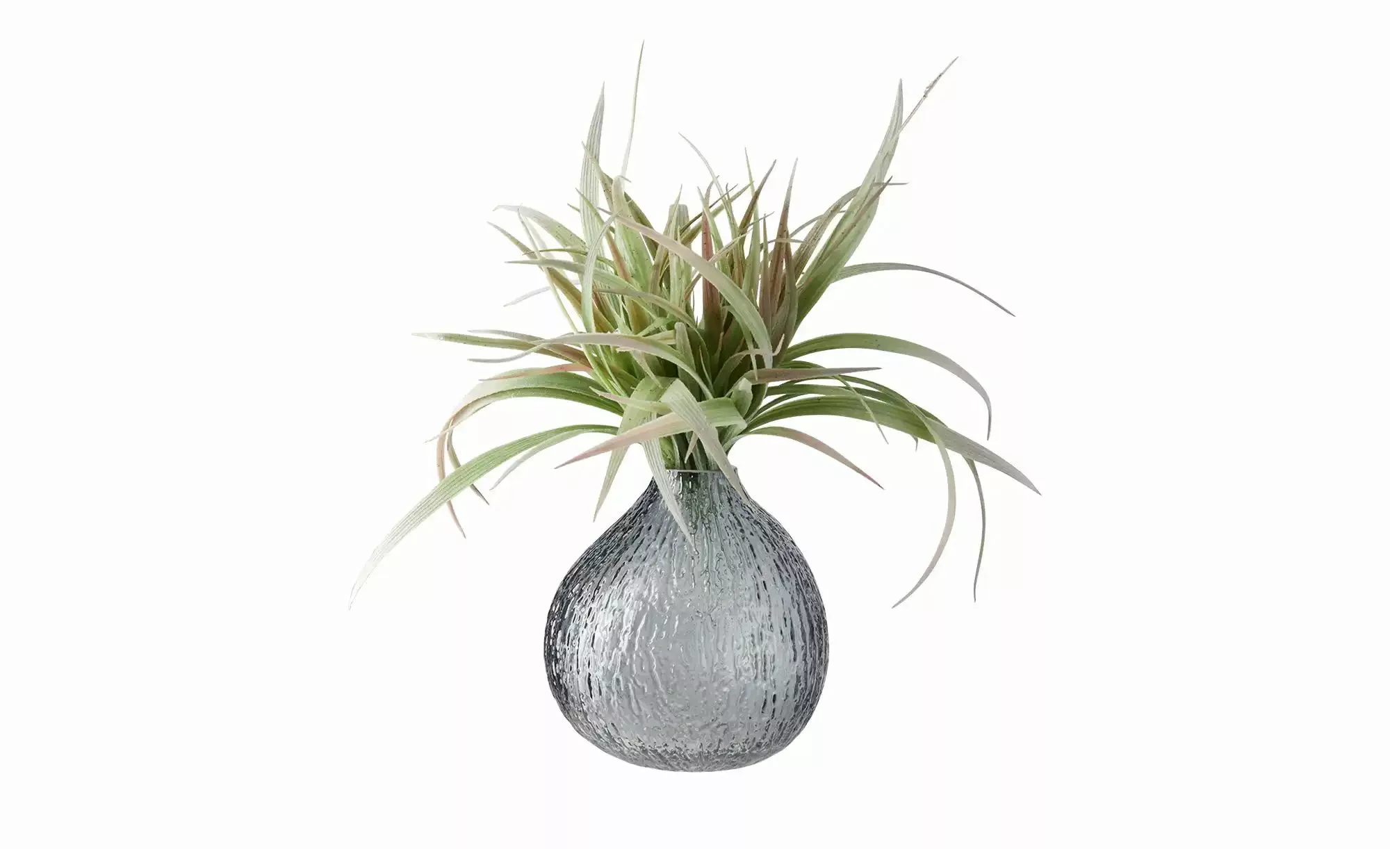 HOME STORY Vase ¦ grau ¦ Glas ¦ Maße (cm): H: 17,5  Ø: 17 Accessoires > Vas günstig online kaufen