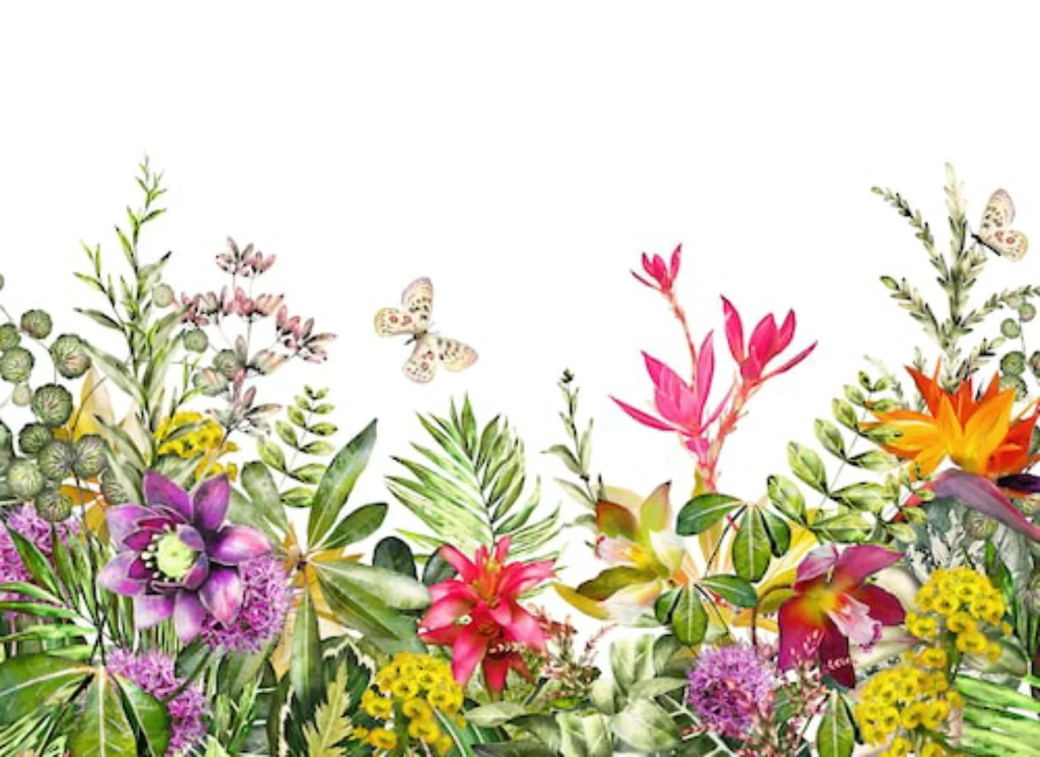 Fototapete Floral Blumen Schmetterling Bunt Weiß 3,50 m x 2,55 m FSC® günstig online kaufen