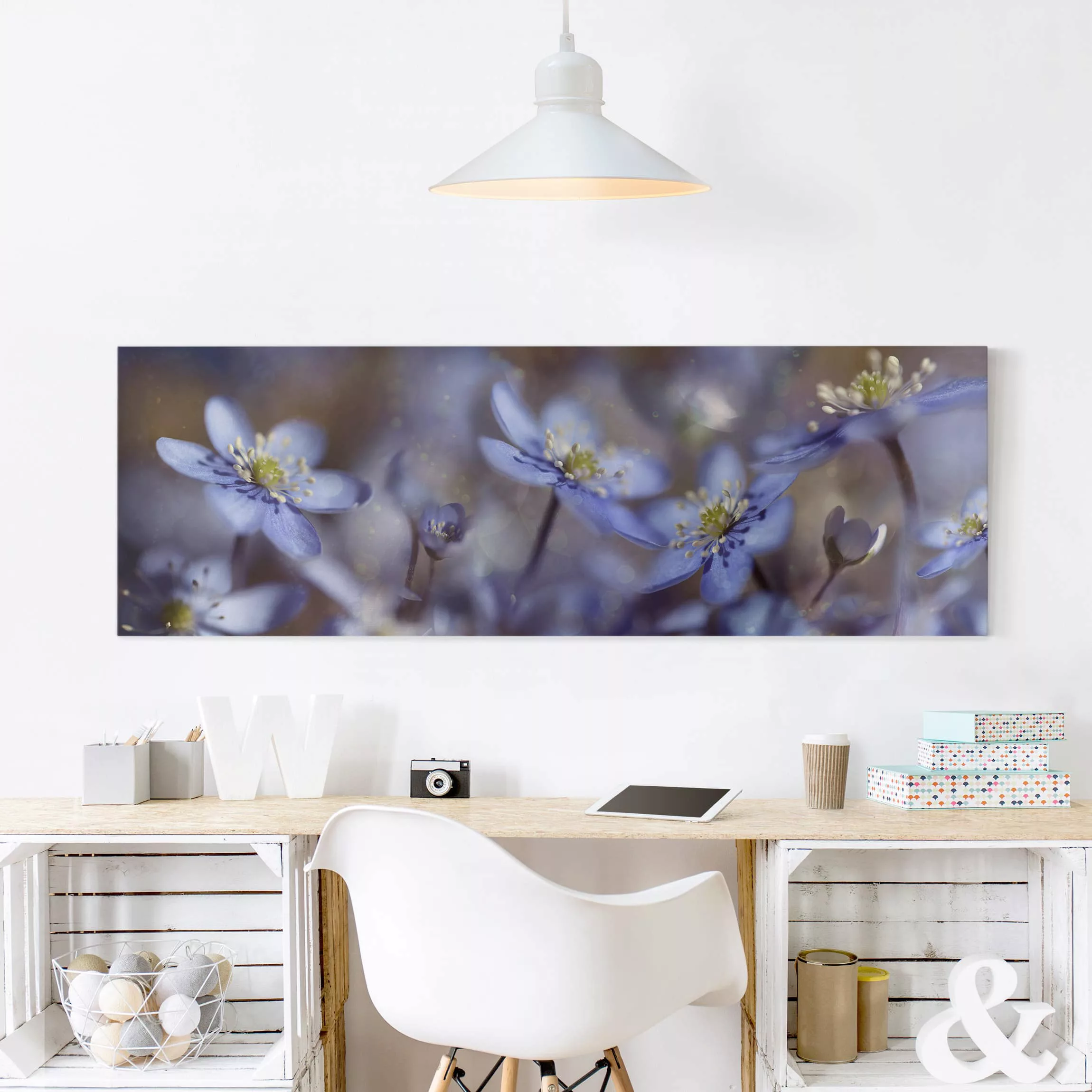 Leinwandbild Blumen - Panorama Anemonen in Blau günstig online kaufen