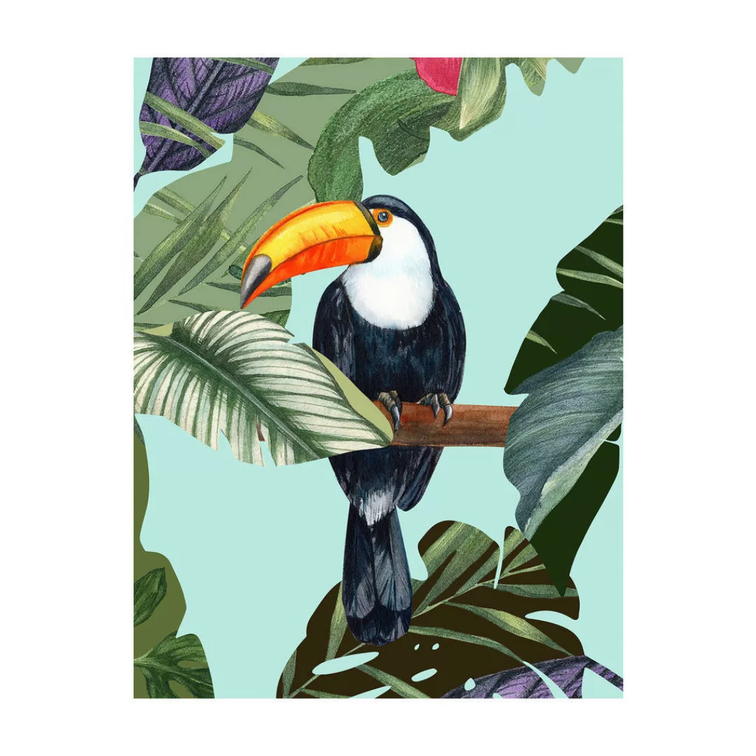 Komar Wandbild Toco Toucan günstig online kaufen