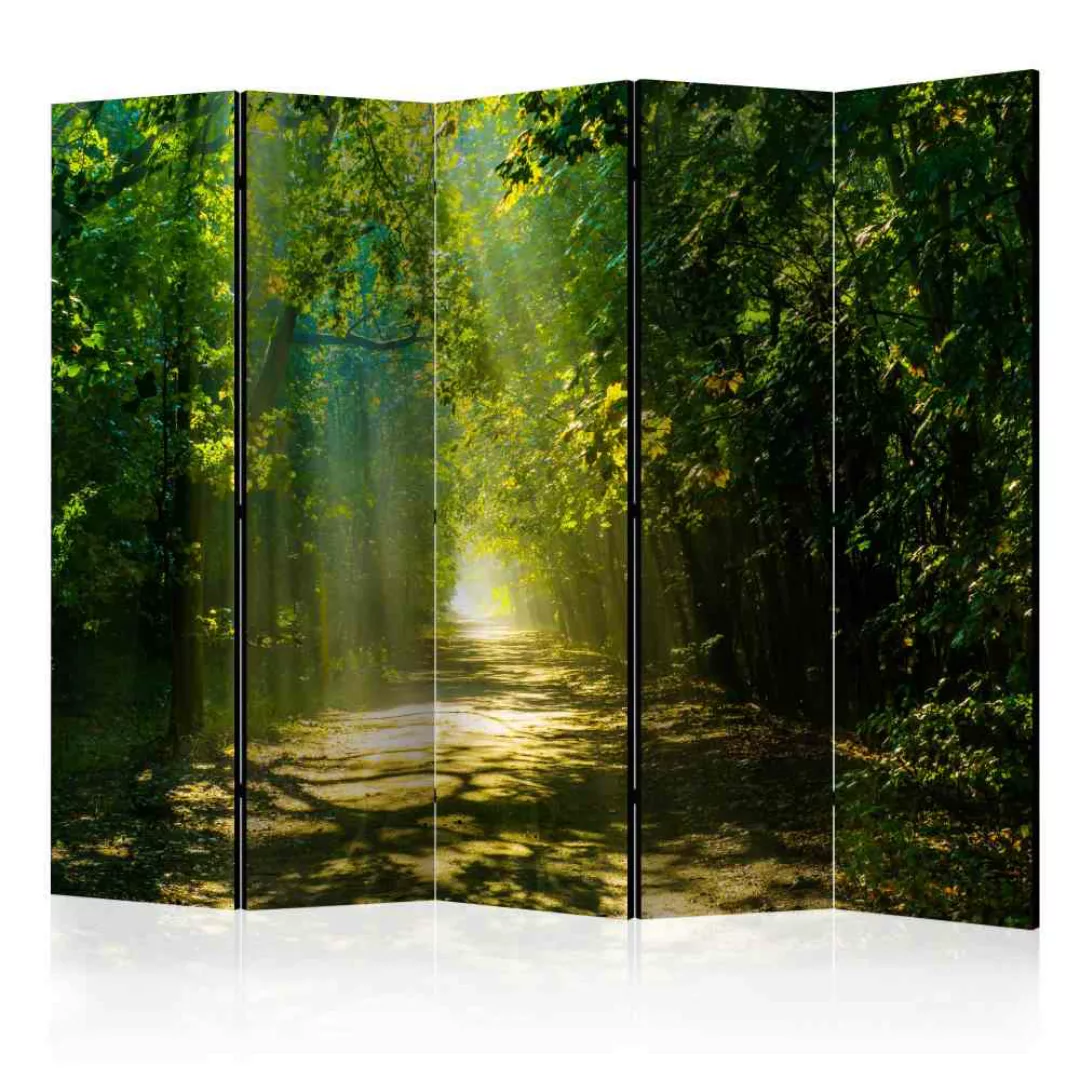 Leinwand Paravent mit Wald Motiv bei Sonnenschein 225 cm breit günstig online kaufen