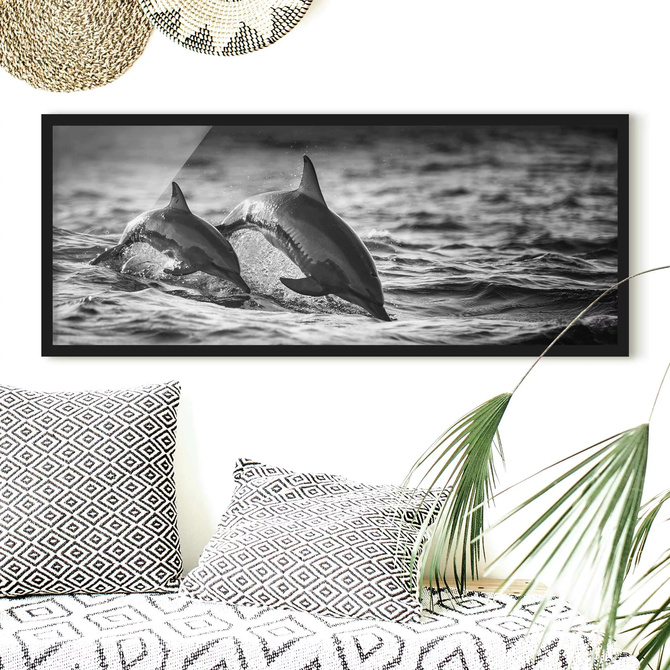Bild mit Rahmen Schwarz-Weiß - Panorama Zwei springende Delfine günstig online kaufen