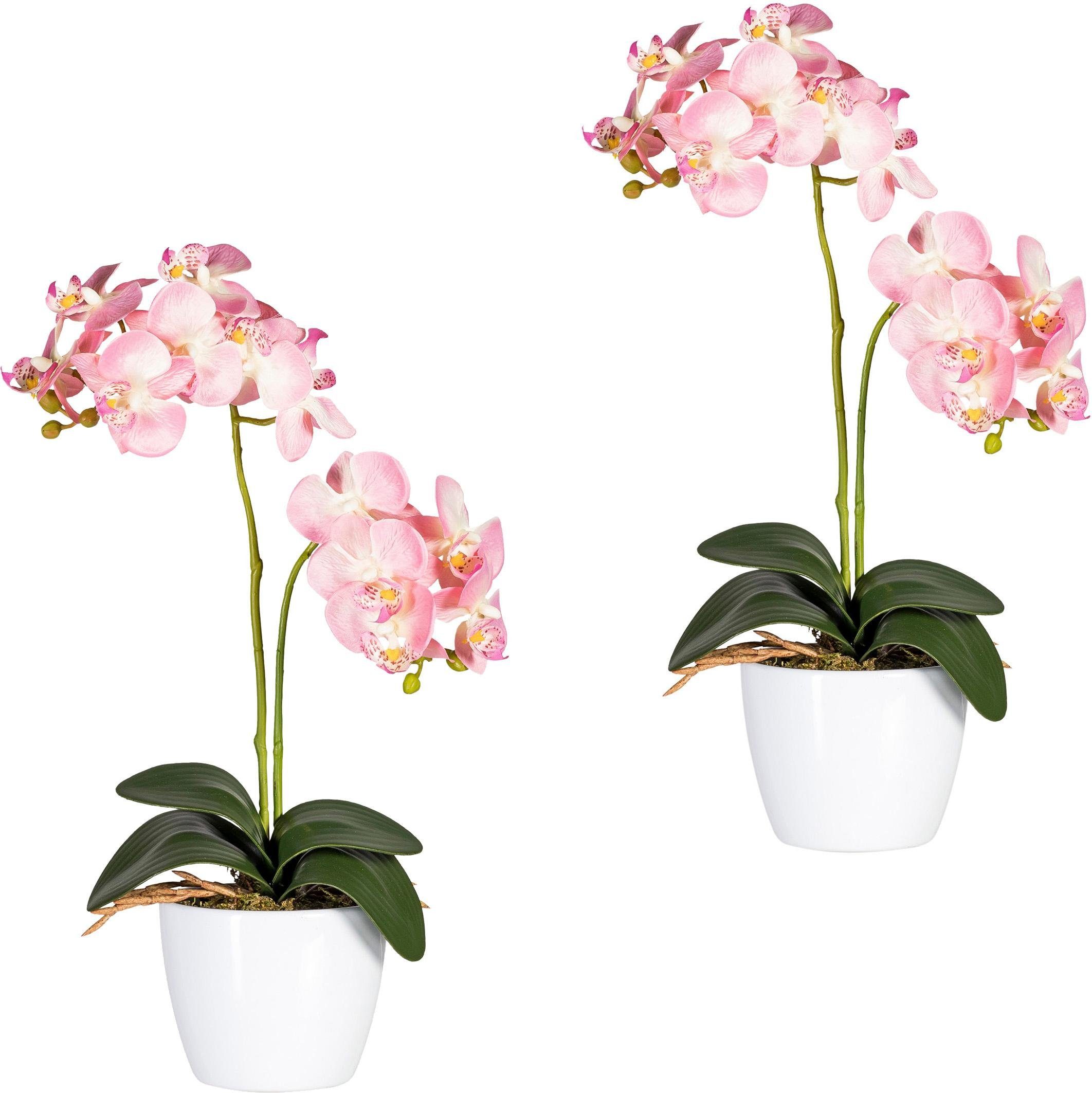 Kunstpflanze Phalaenopsis Orchidee, Creativ green, Höhe günstig online kaufen