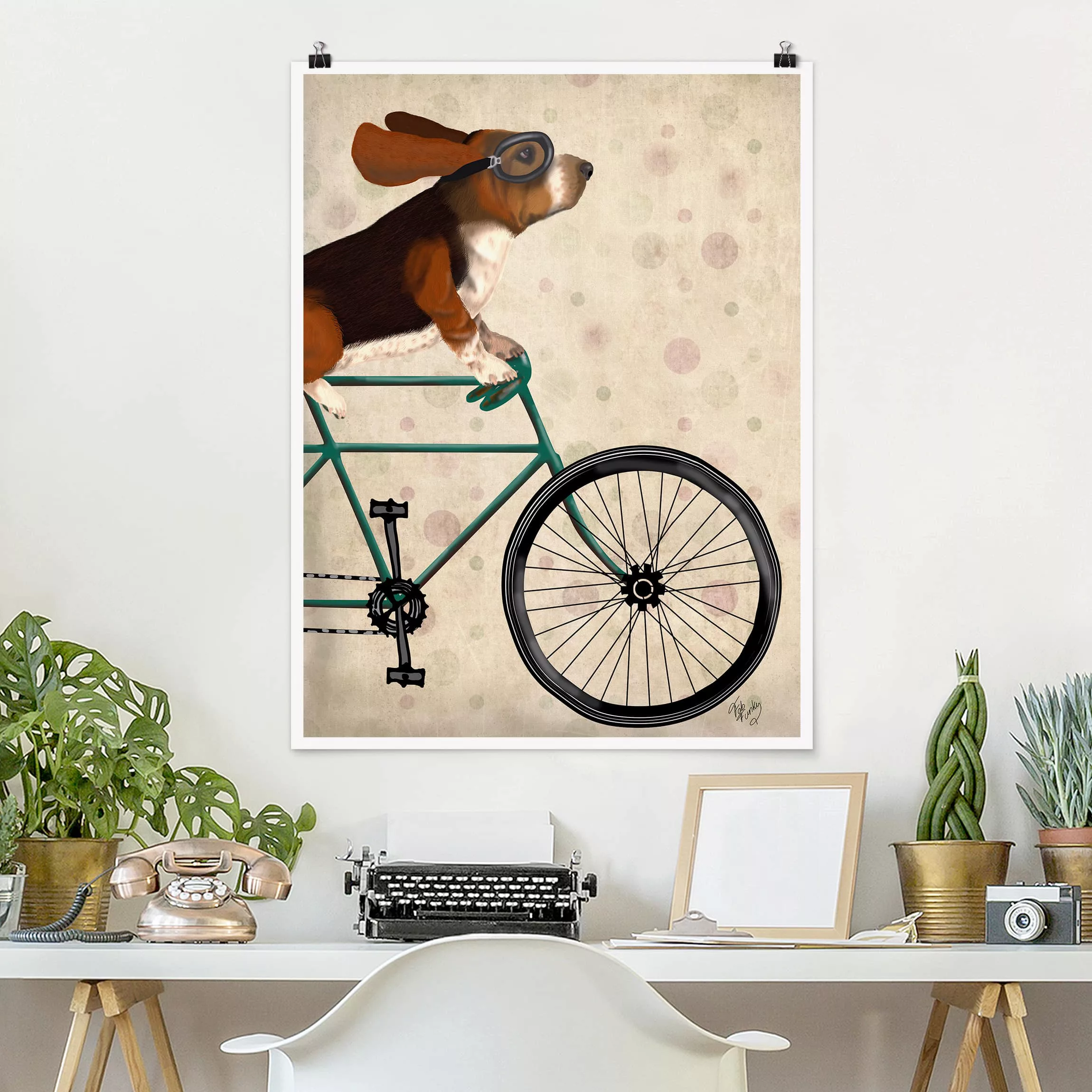 Poster - Hochformat Radtour - Basset auf Fahrrad günstig online kaufen