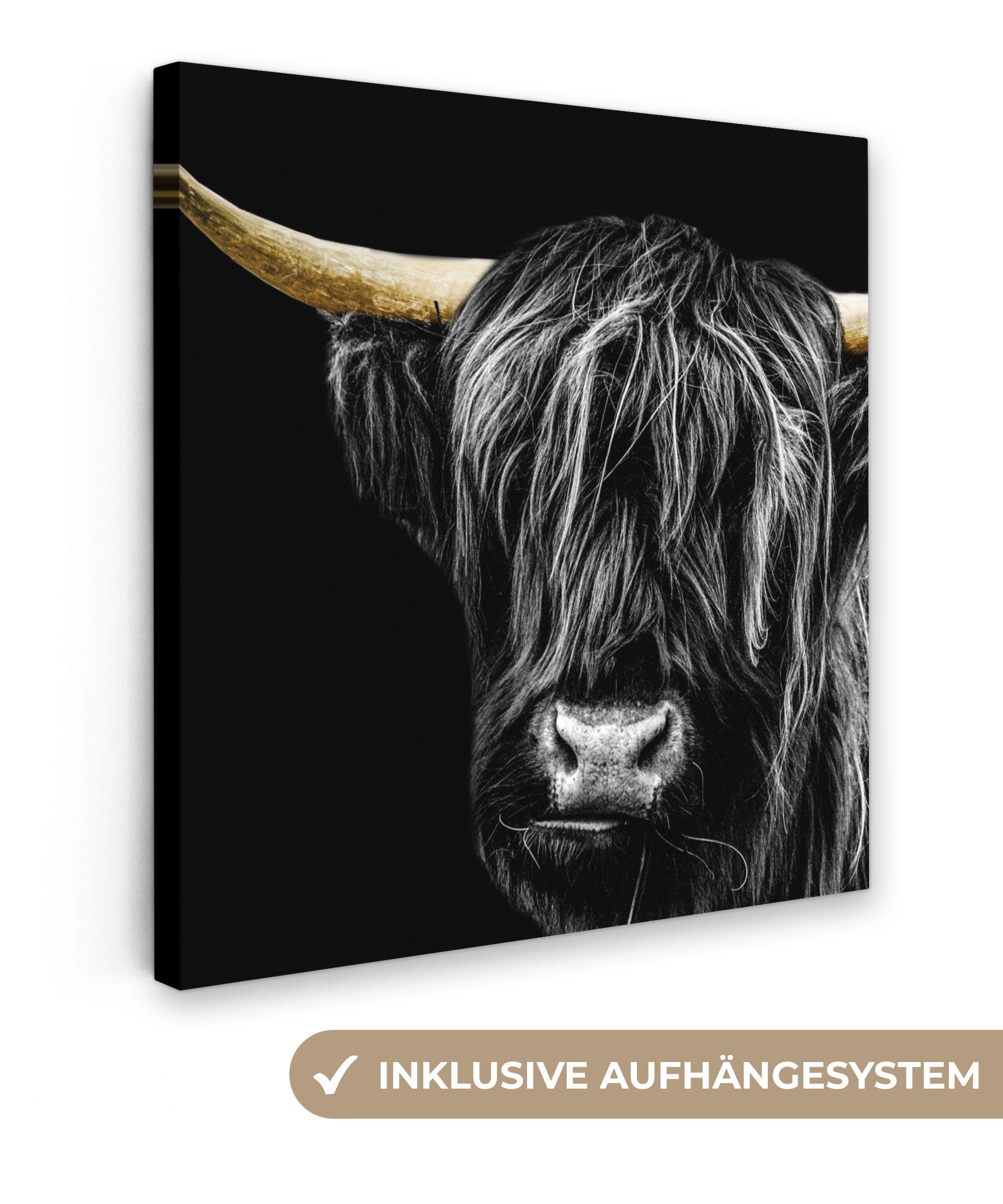 OneMillionCanvasses® Leinwandbild Schottischer Highlander - Gold günstig online kaufen