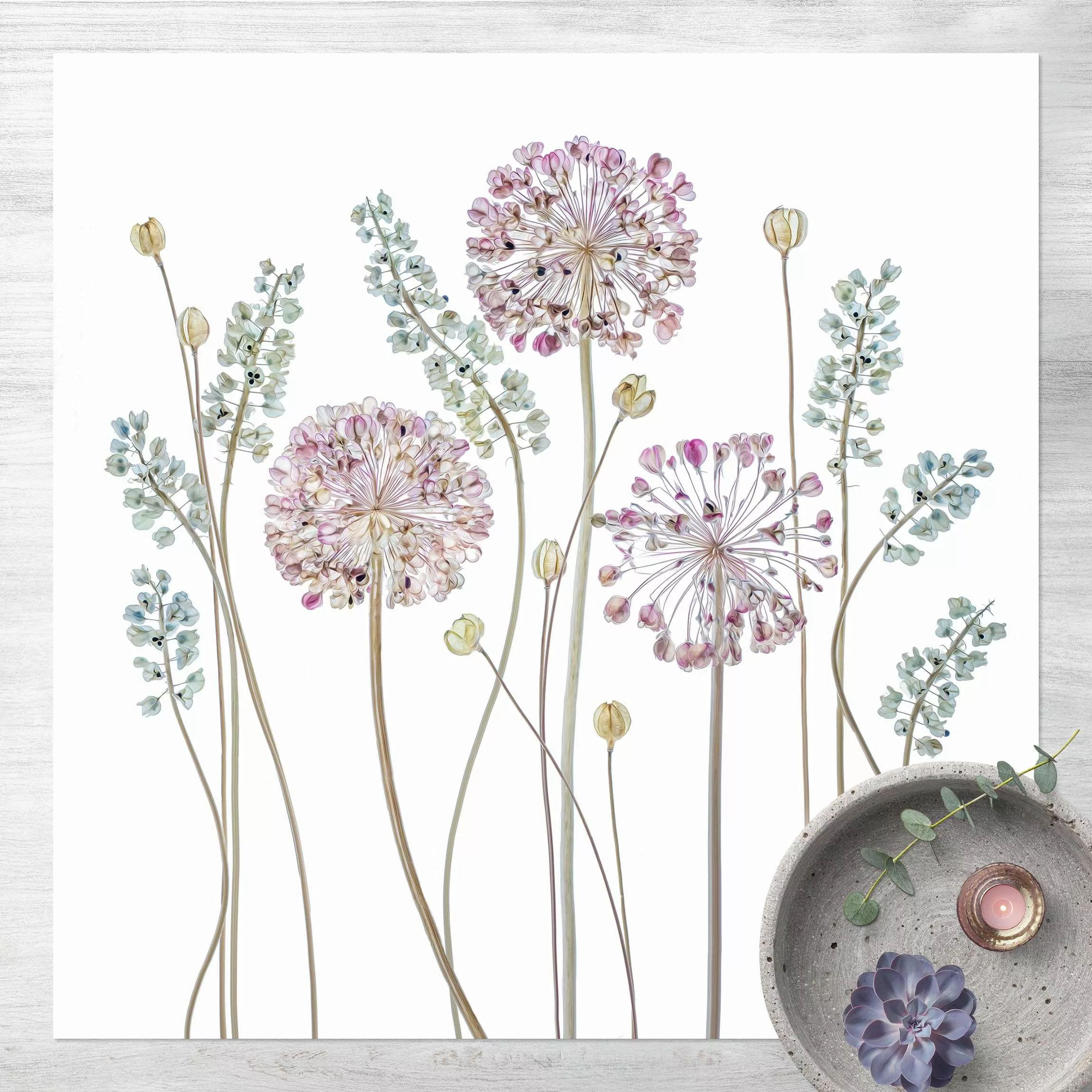 Vinyl-Teppich Allium Illustration günstig online kaufen