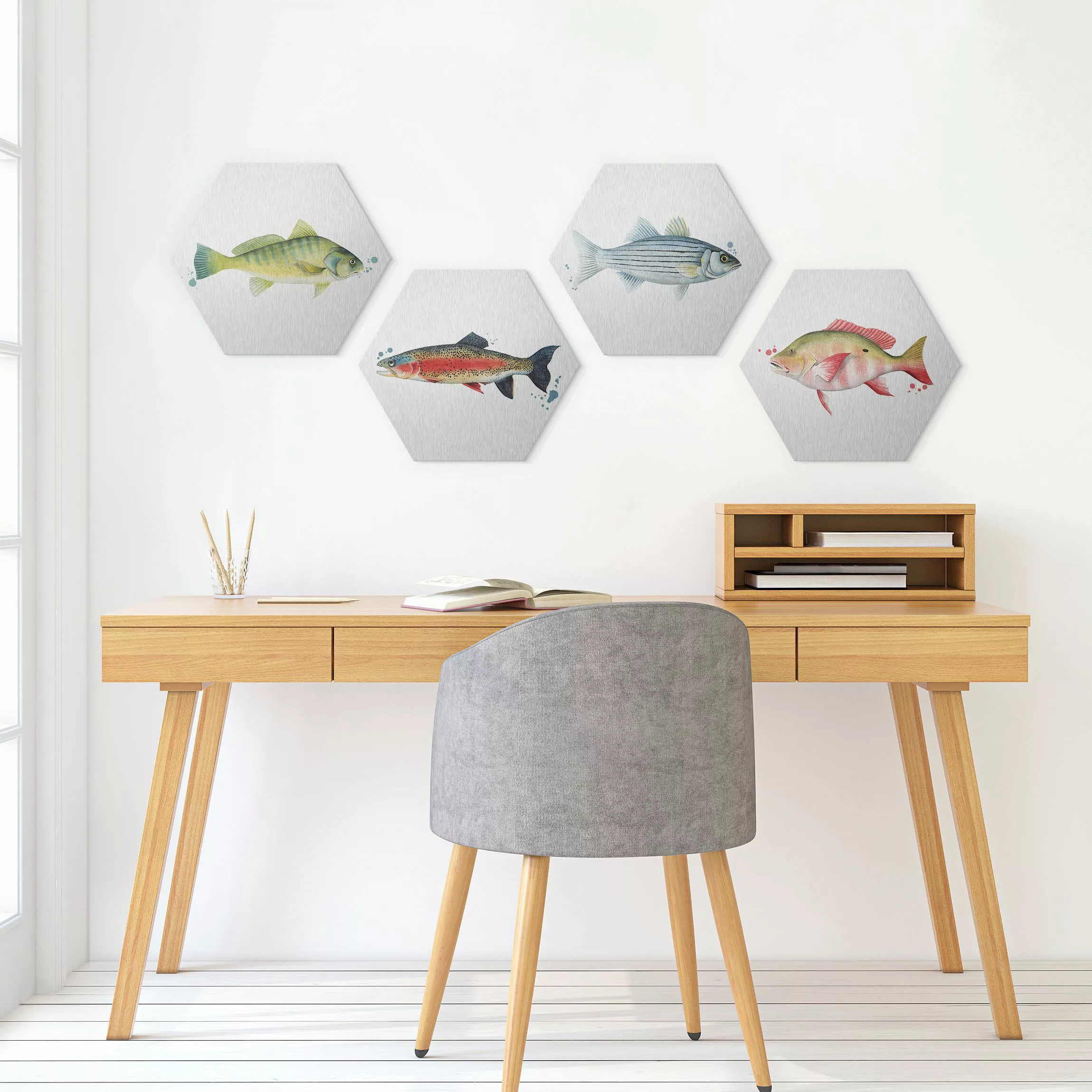 4-teiliges Hexagon-Alu-Dibond Bild Farbfang - Fische Set I günstig online kaufen