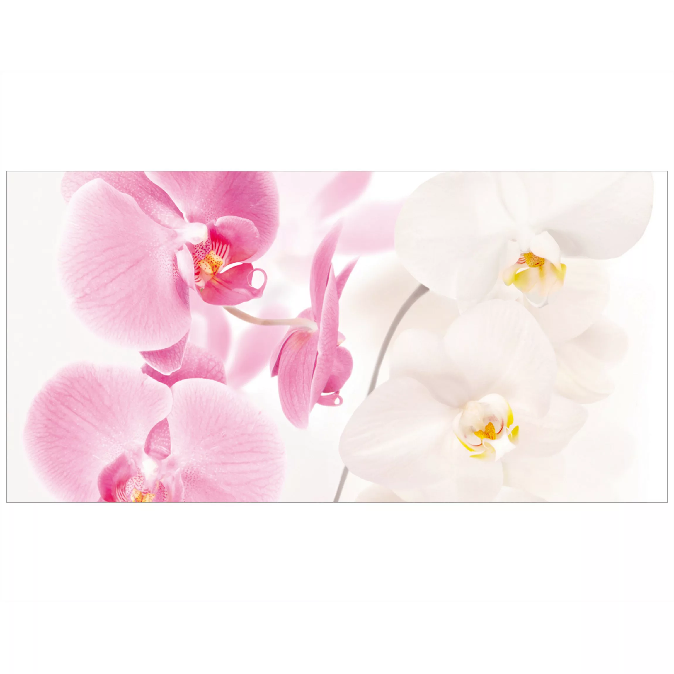 Fensterfolie Delicate Orchids günstig online kaufen