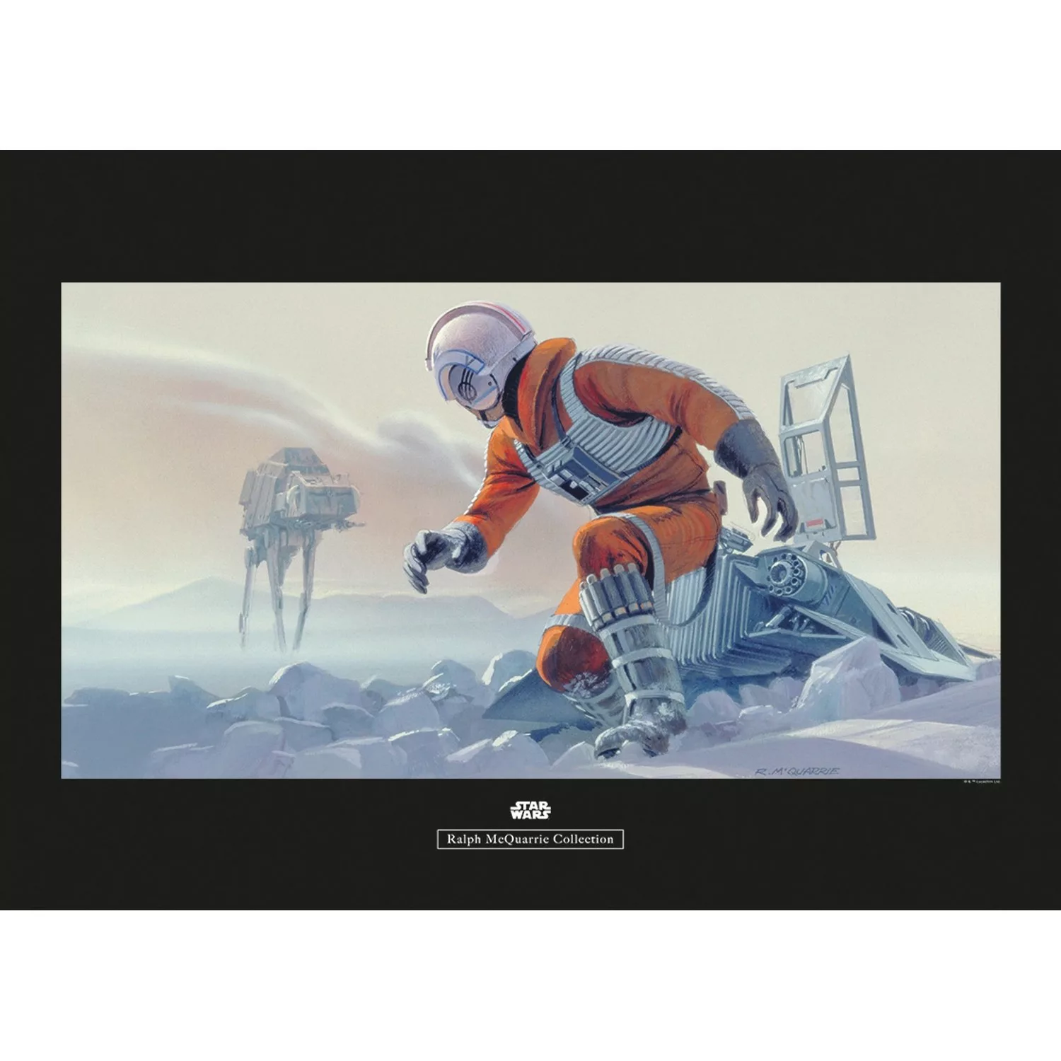 Komar Wandbild Star Wars Pilot 70 x 50 cm günstig online kaufen