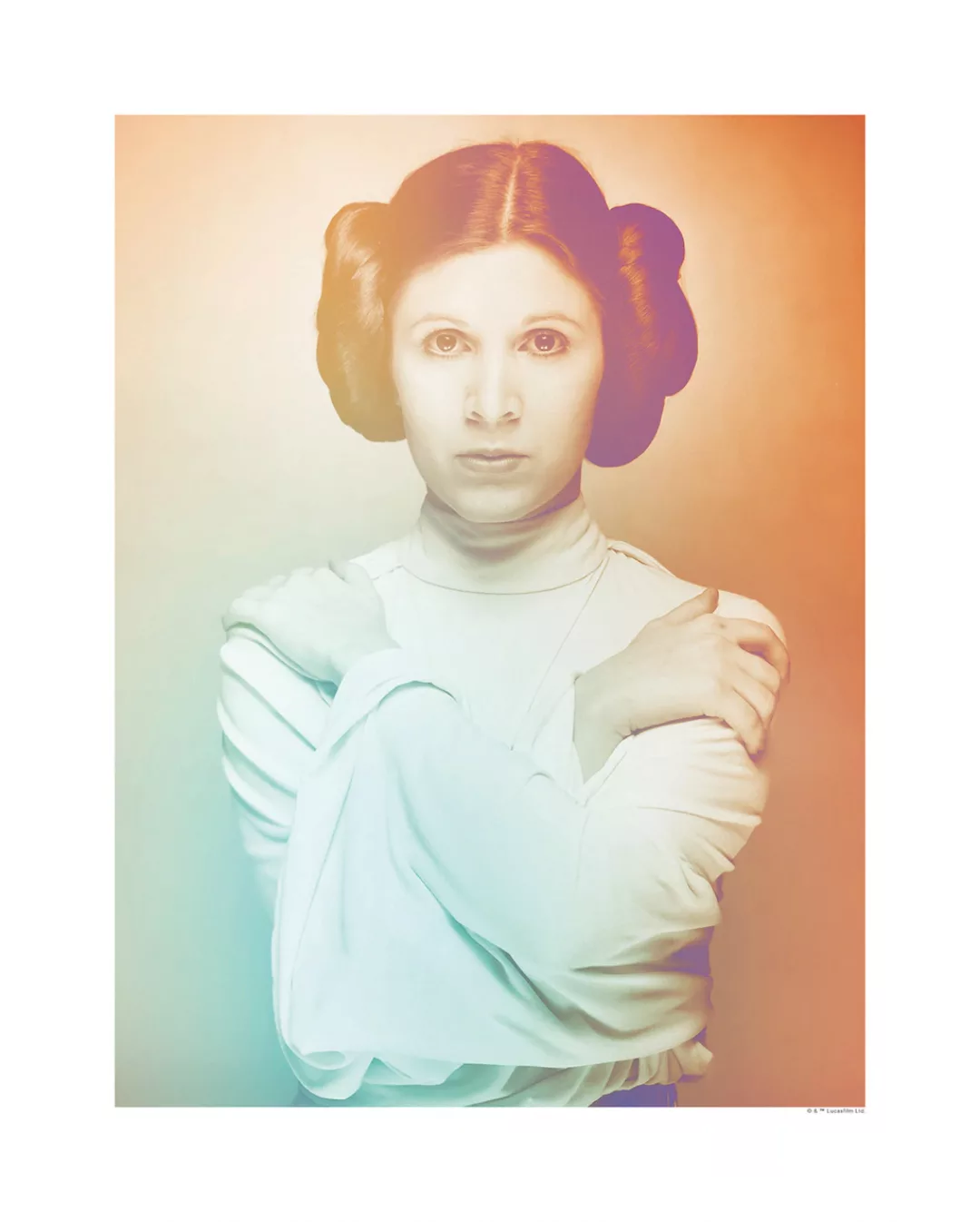 Komar Wandbild Star Wars Leia 40 x 50 cm günstig online kaufen