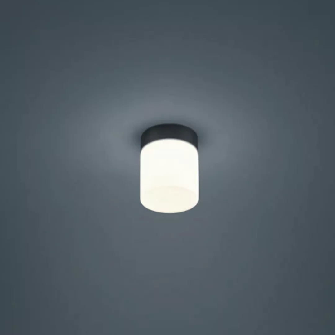 Helestra Keto LED-Deckenleuchte, Zylinder, schwarz günstig online kaufen