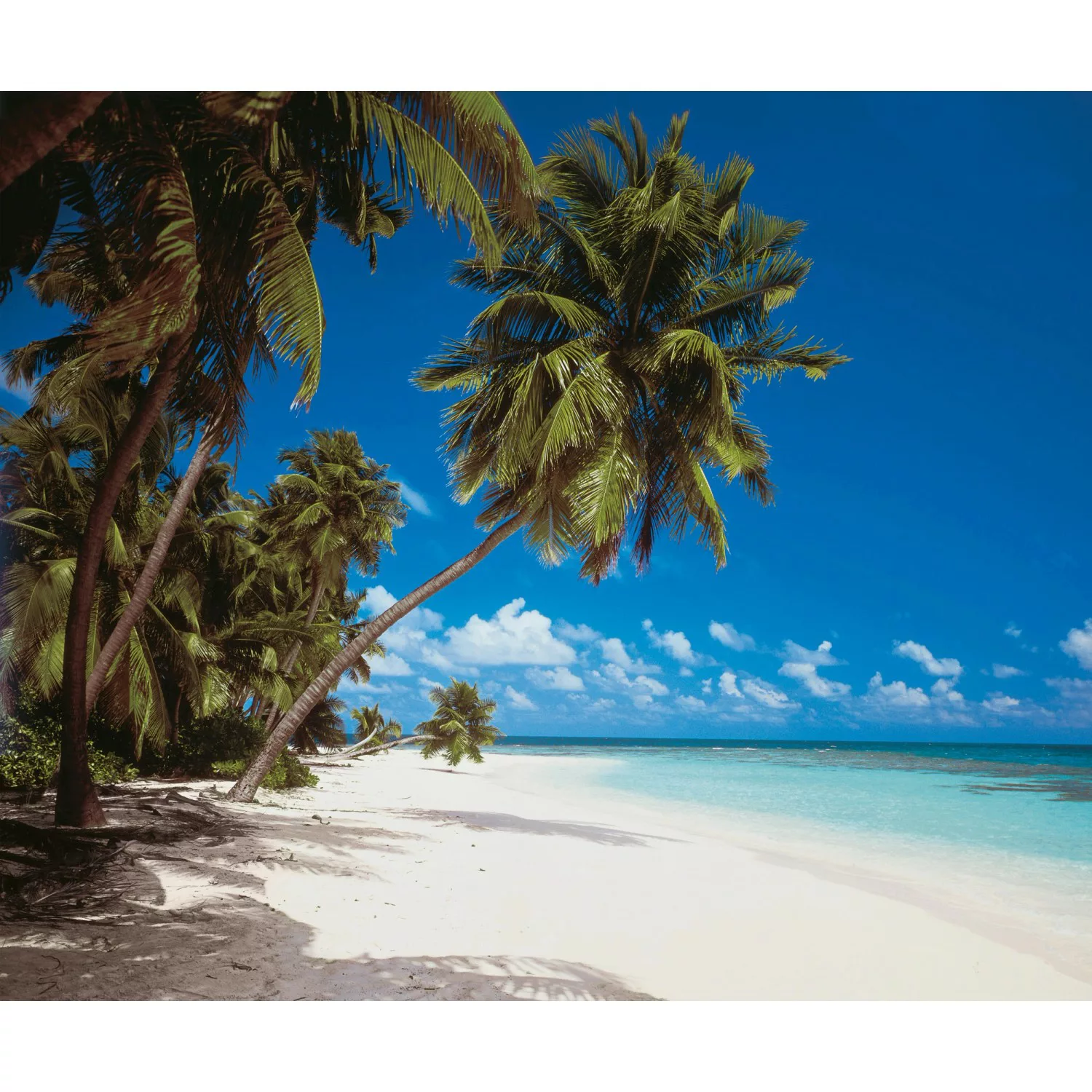 Komar Fototapete Vlies Maldives  300 x 250 cm günstig online kaufen