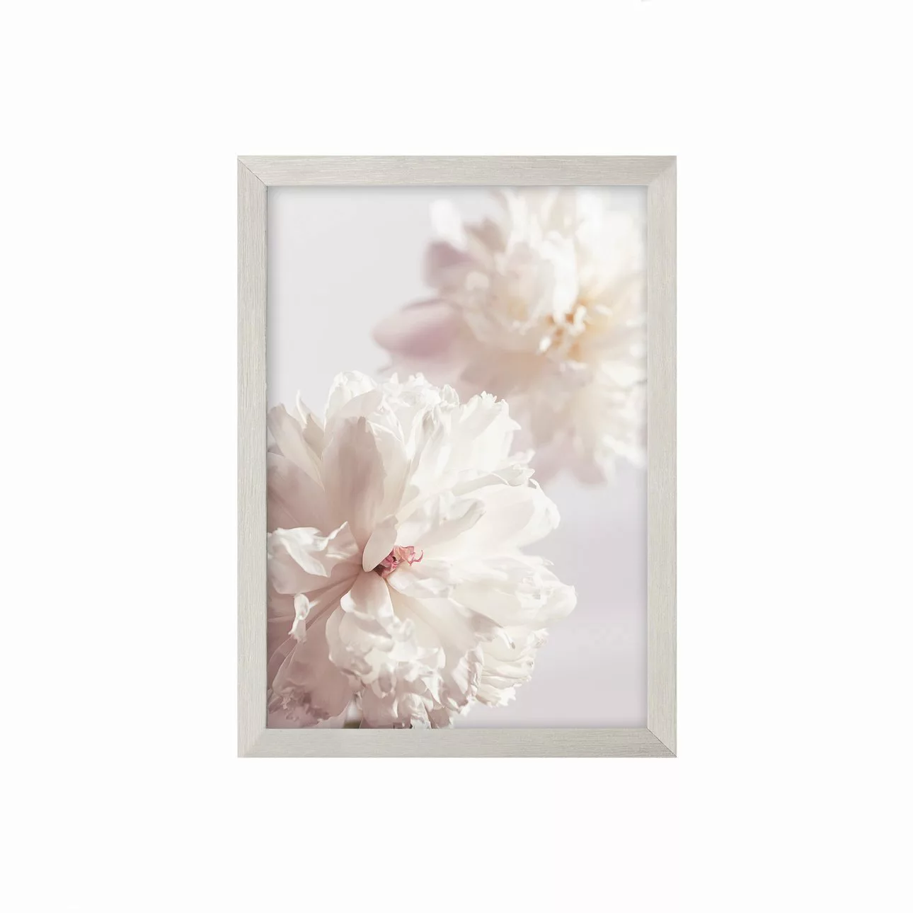 Wandbild Peony II 21x30cm silver, 21 x 30 cm günstig online kaufen