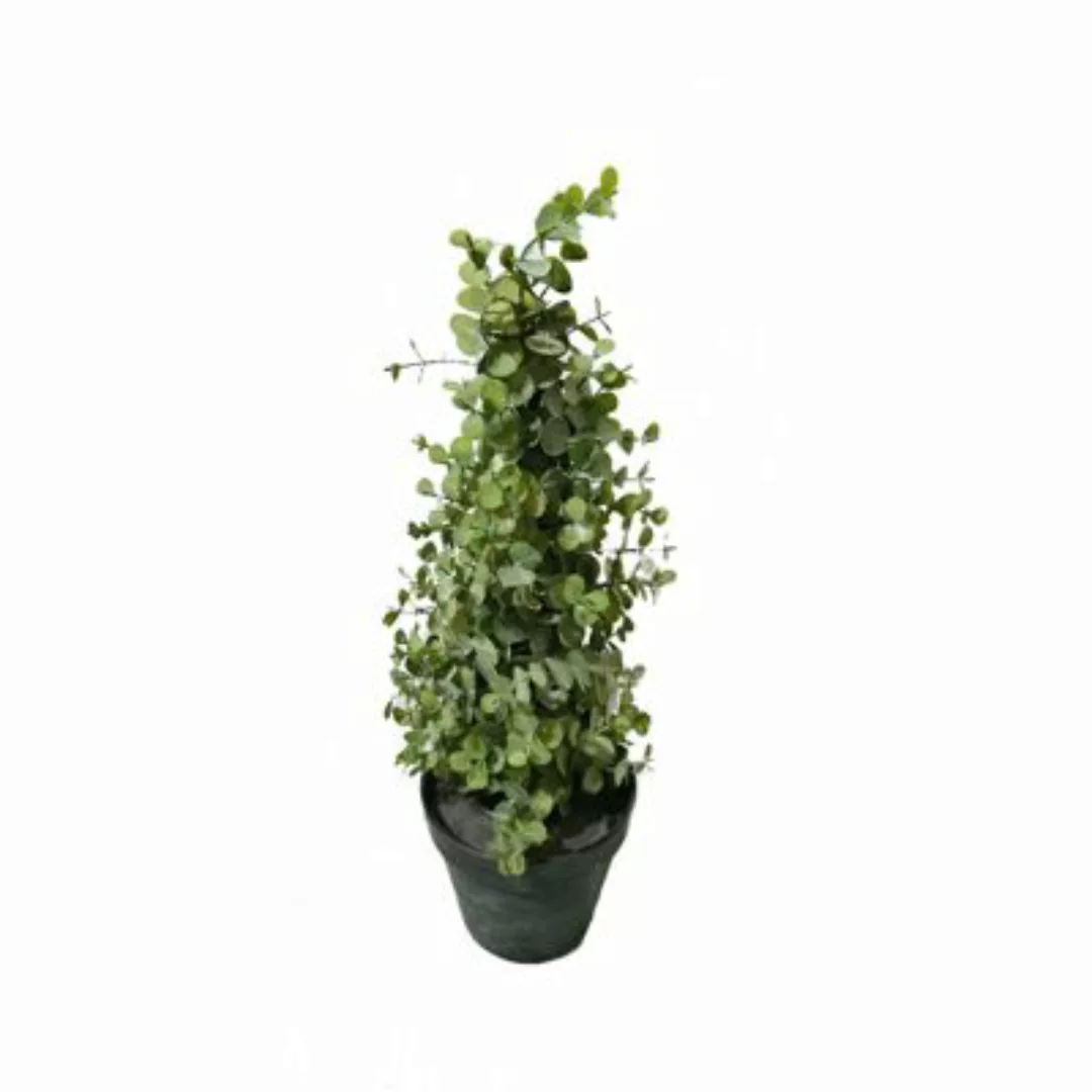 HTI-Living Eukalyptusbäumchen 43 cm Kunstpflanze Flora grün günstig online kaufen