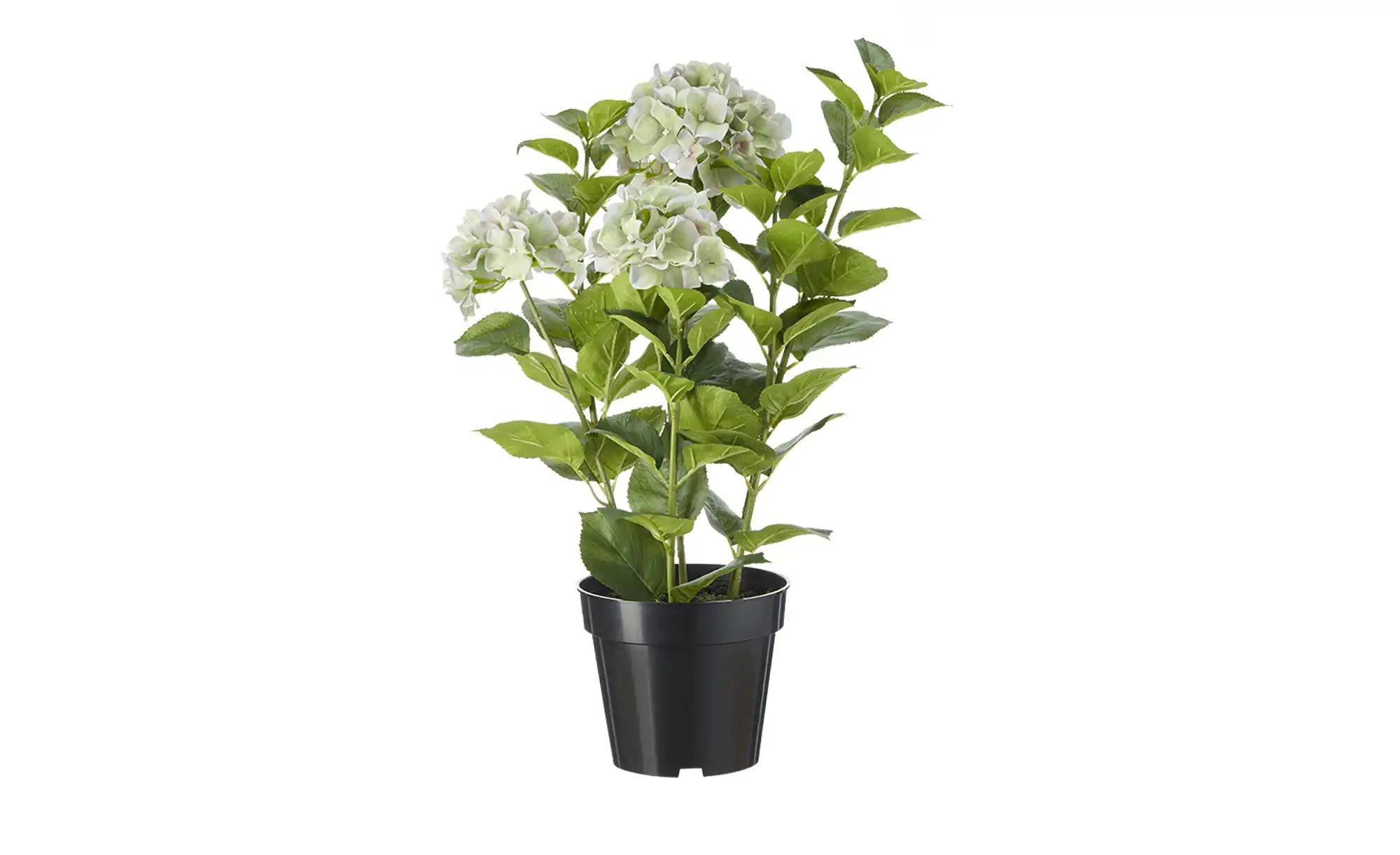 Hortensie getopft   ¦ lila/violett ¦ Kunststoff ¦ Maße (cm): H: 85 Accessoi günstig online kaufen