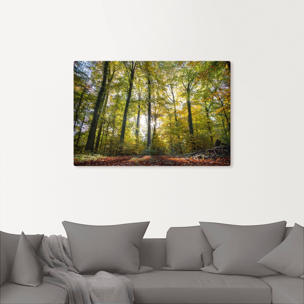 Artland Leinwandbild "Laubwald zum Herbst", Waldbilder, (1 St.), auf Keilra günstig online kaufen