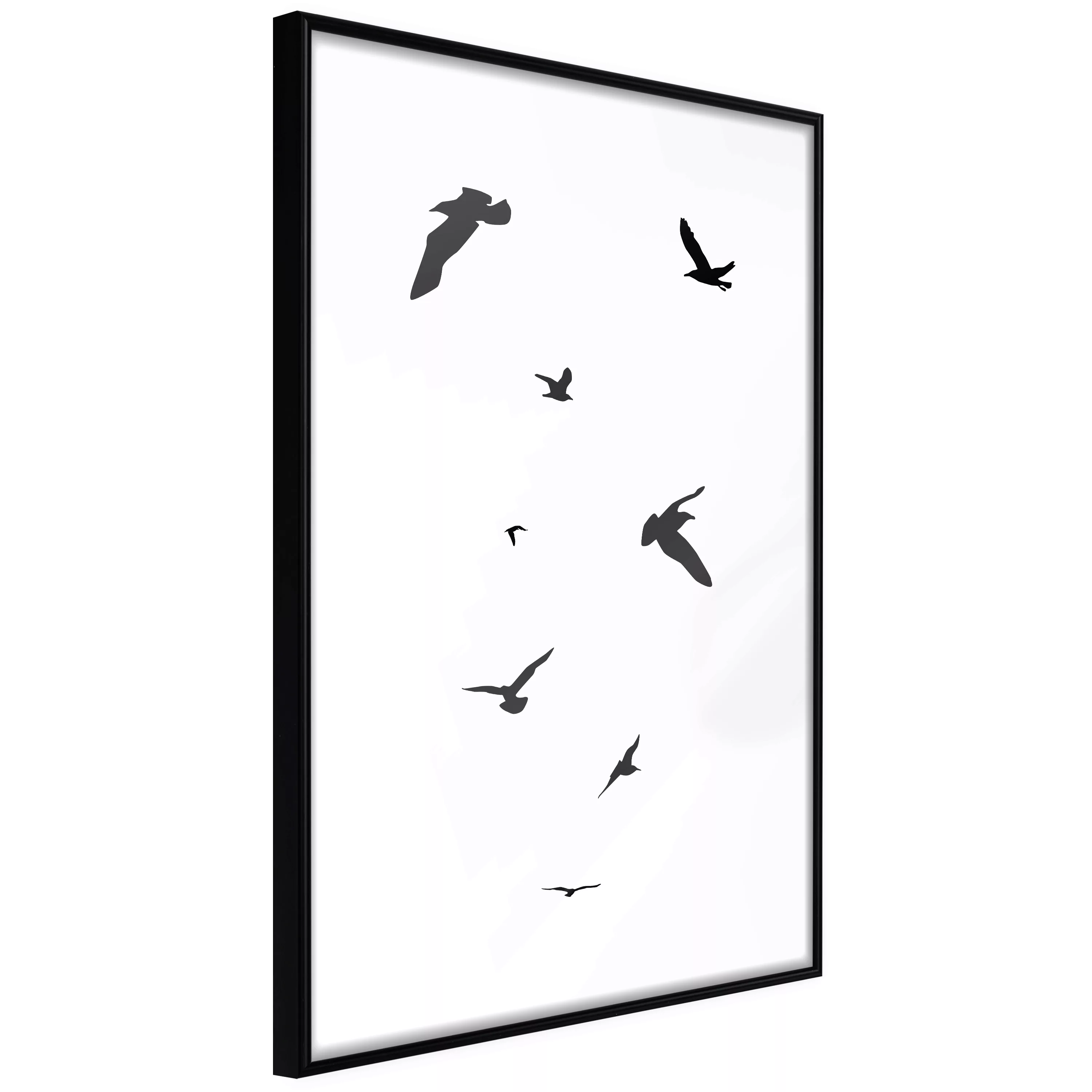 Poster - Birds günstig online kaufen