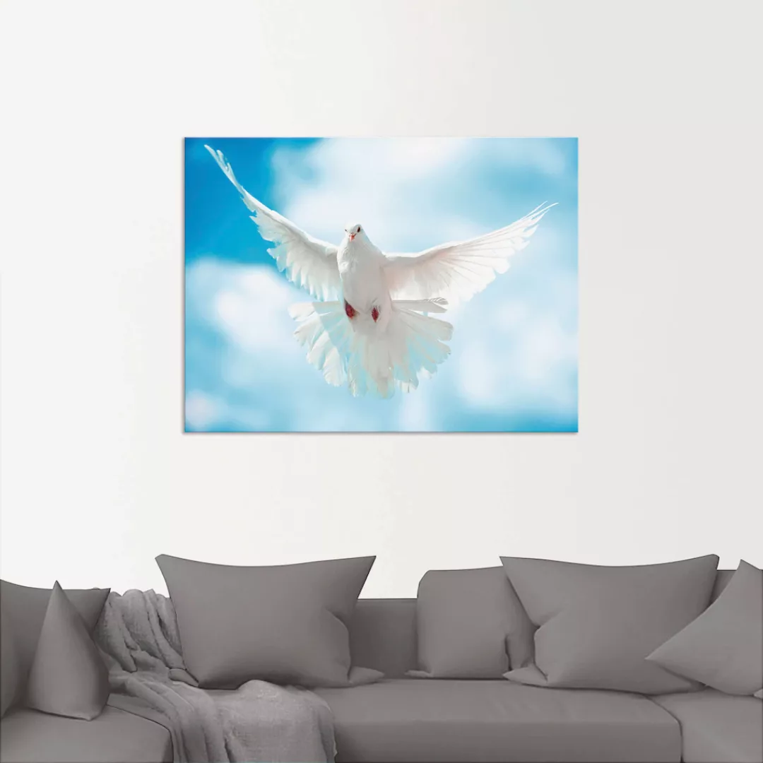 Artland Wandbild "Taube mit ausgebreiteten Flügeln", Vögel, (1 St.), als Al günstig online kaufen