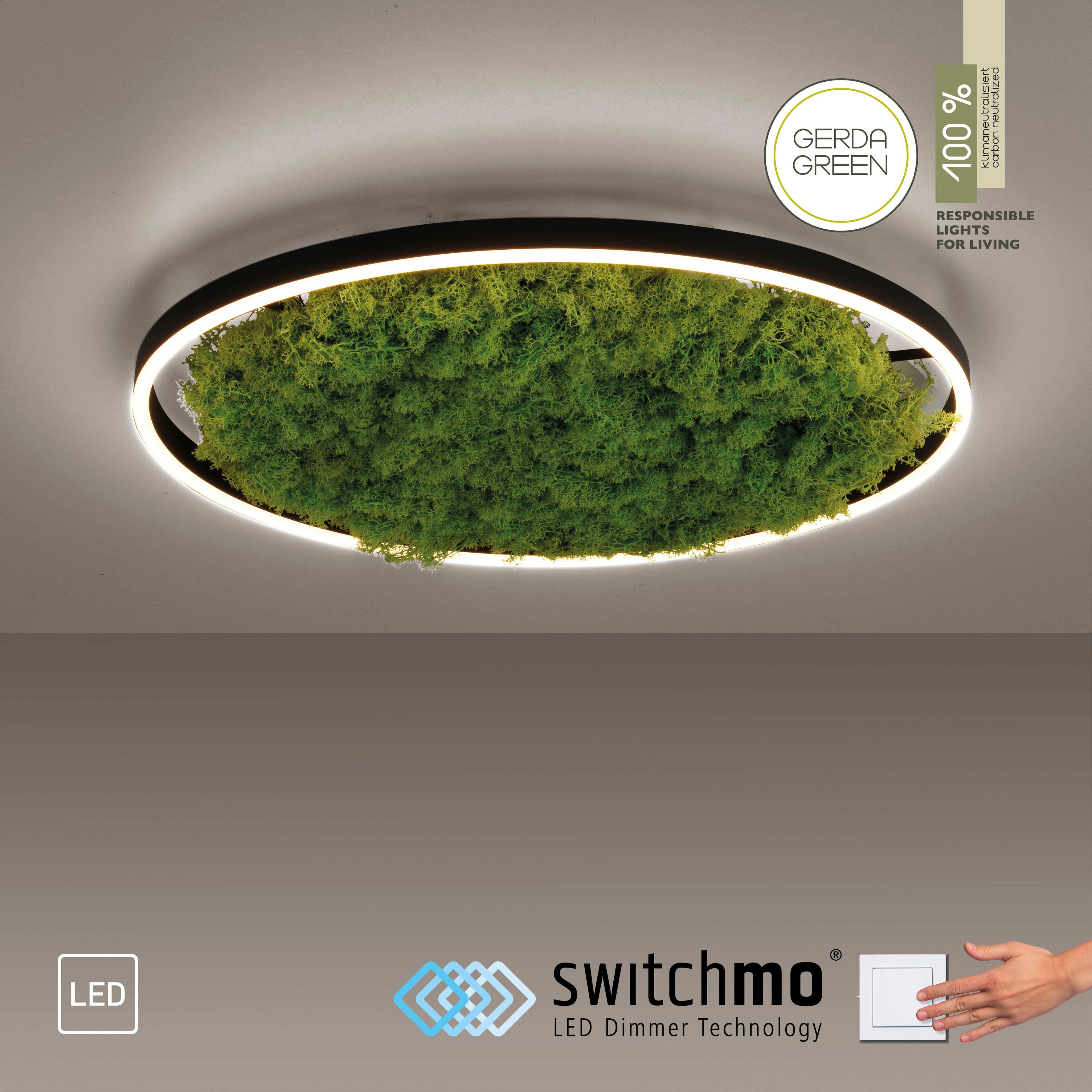 JUST LIGHT Deckenleuchte GREEN RITU, LED günstig online kaufen