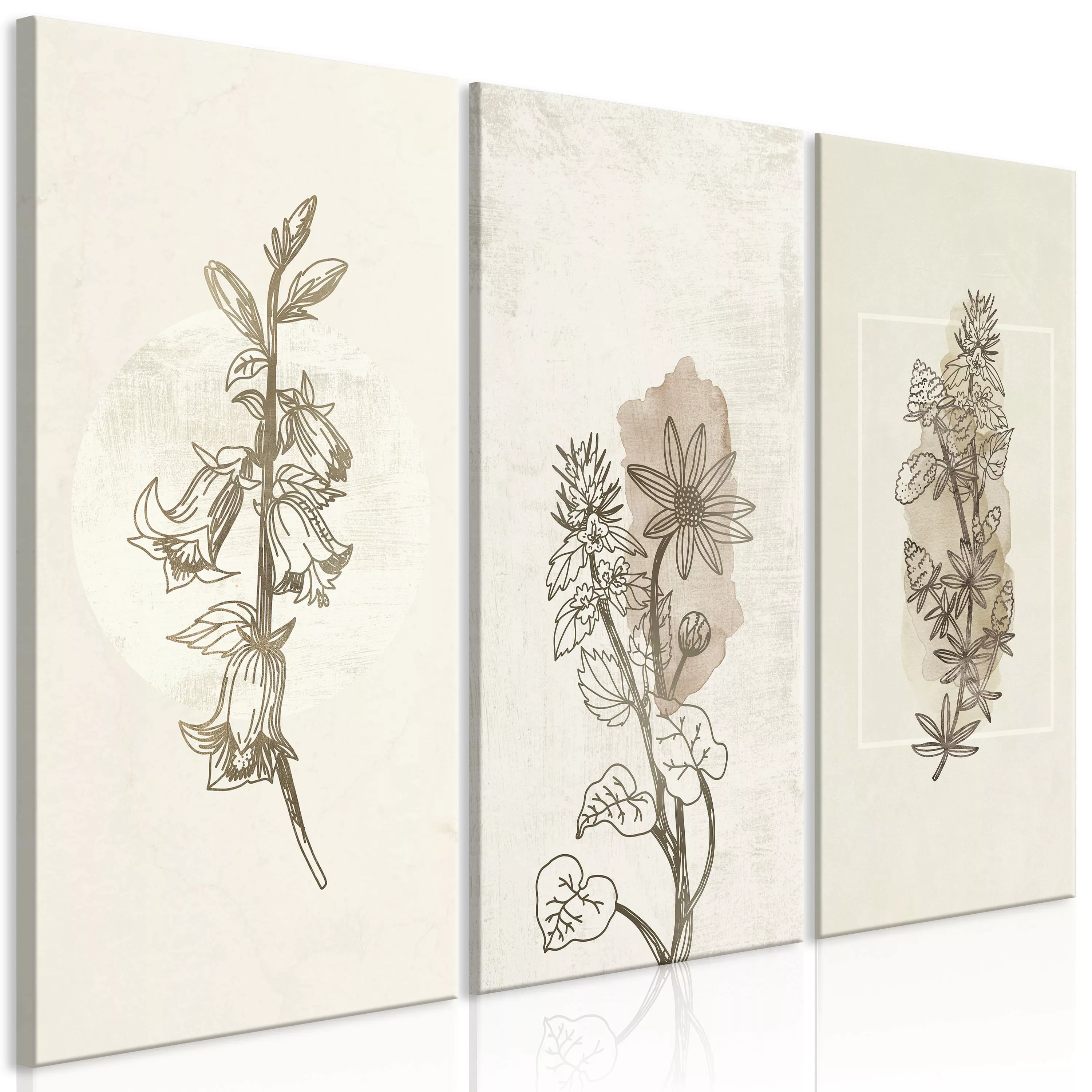 Wandbild - Herbarium (3 Parts) günstig online kaufen